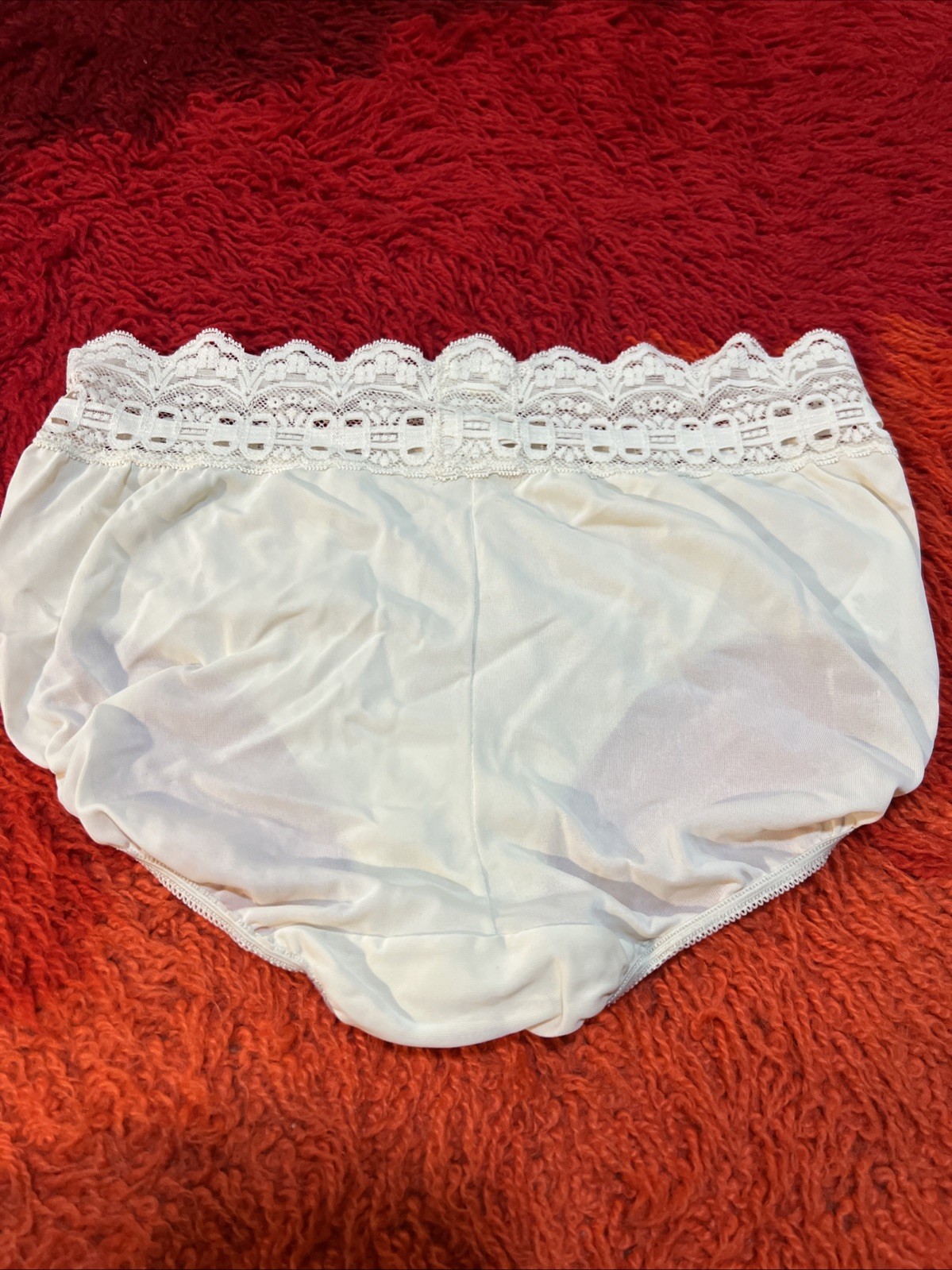 Vtg OLGA SECRET HUG Ivory SHEER NYLON & LACE SISSY PANTY Medium 6