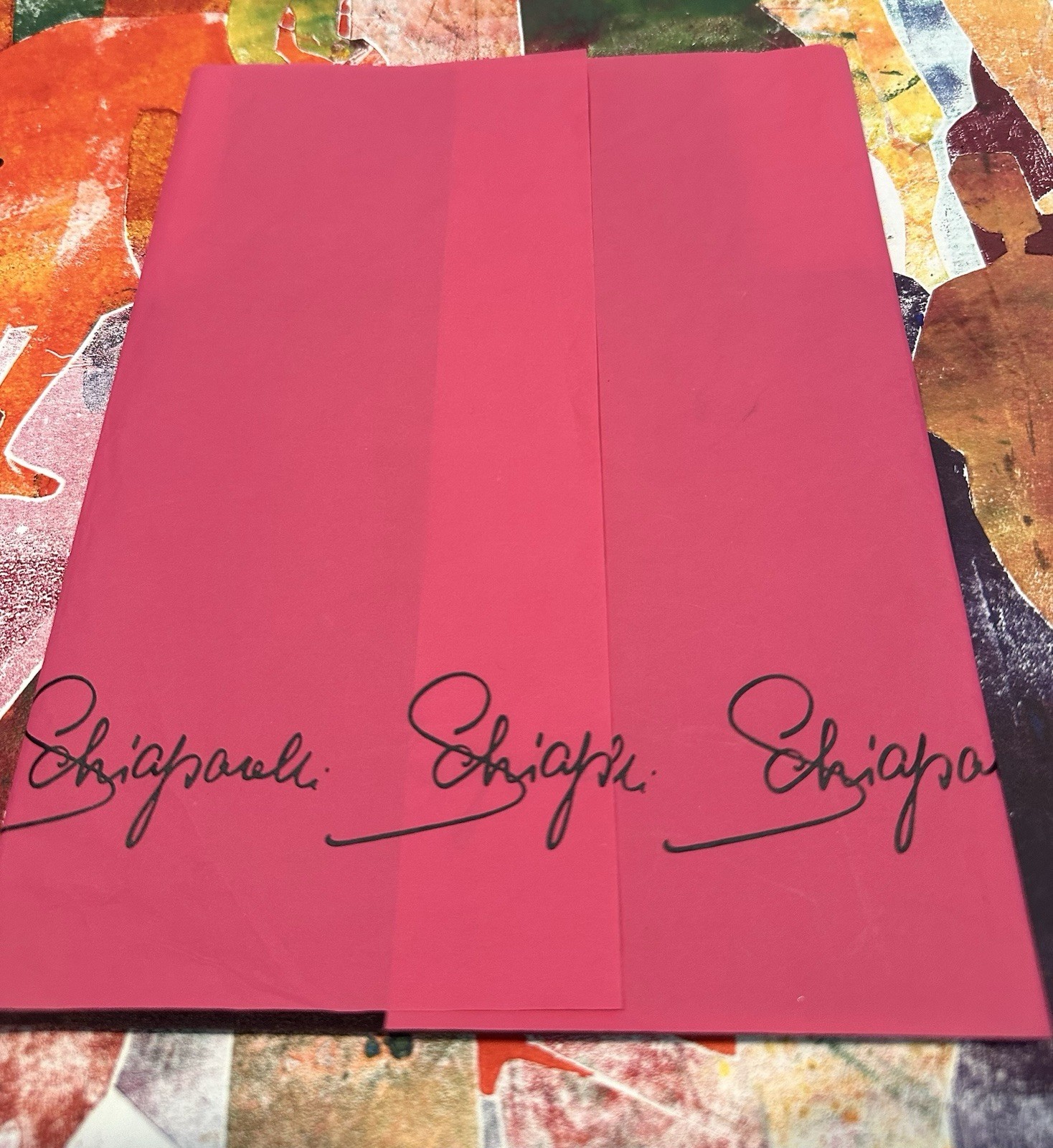 Vintage Schiaparelli Minuet Nylon stockings 10 1/2