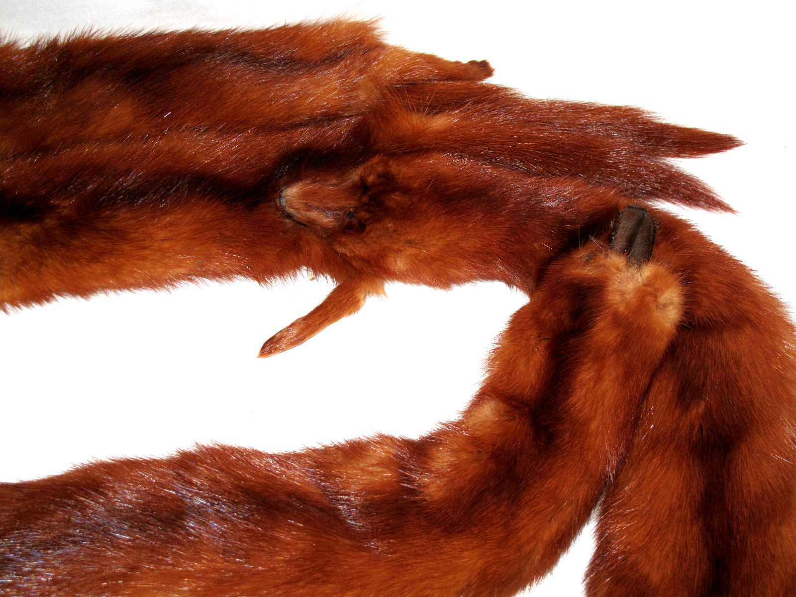 Vintage 5 Pelt Mink Real Fur Stole Scarf Shaw Wrap 48 inches long FURS by Carin