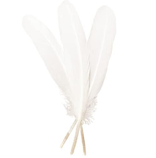 50pcs Feathers 8~10 in,Beautiful Bulk Long Feather for Crafts（21 White