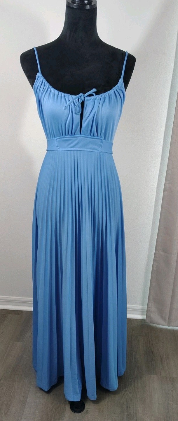 Vintage 1970s Powder Blue Pleated Maxi Dress | Grecian Goddess Empire Waist…