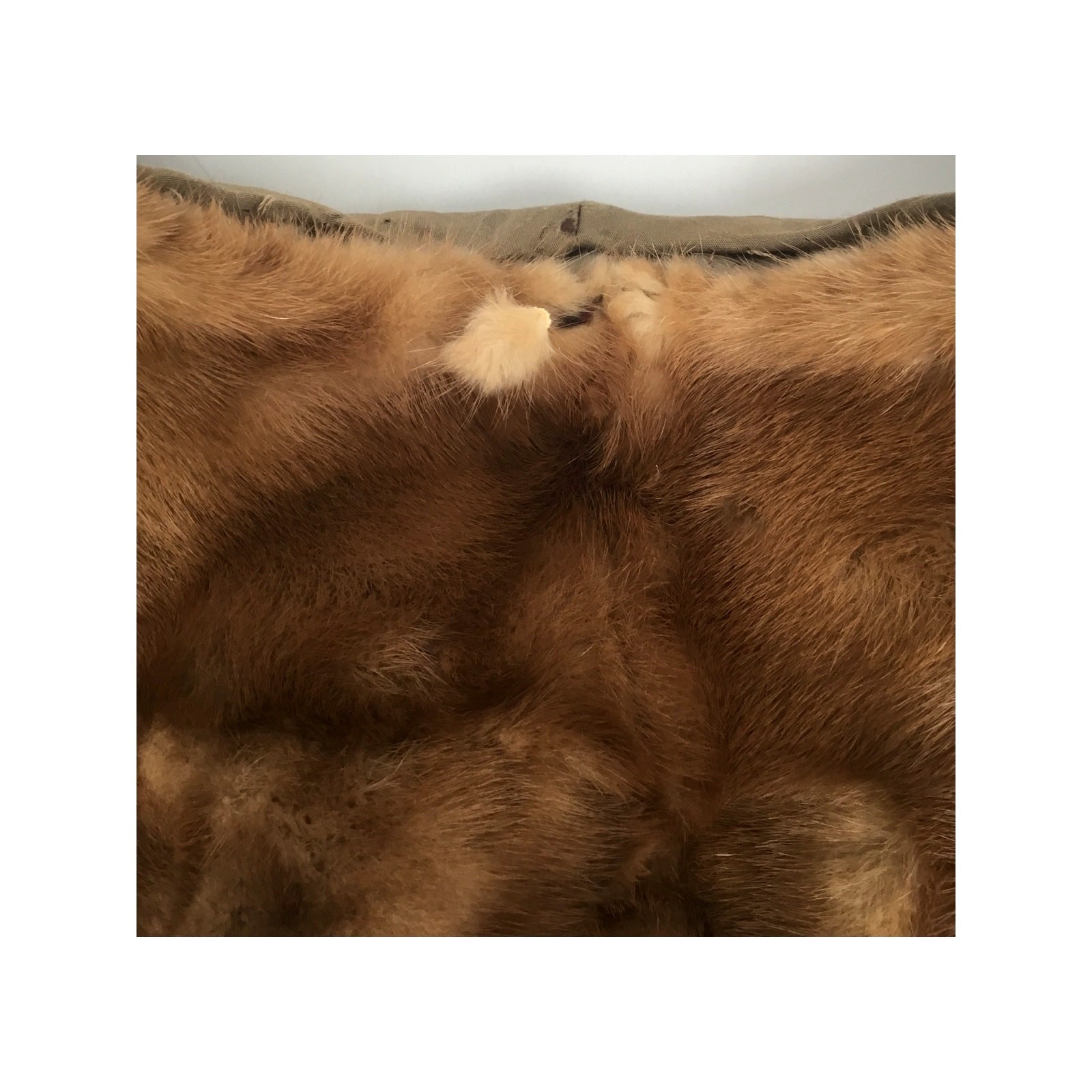 Vintage Evans Furs Davison’s Genuine Fur Capelet Stole Brown Damaged 17″ Collar