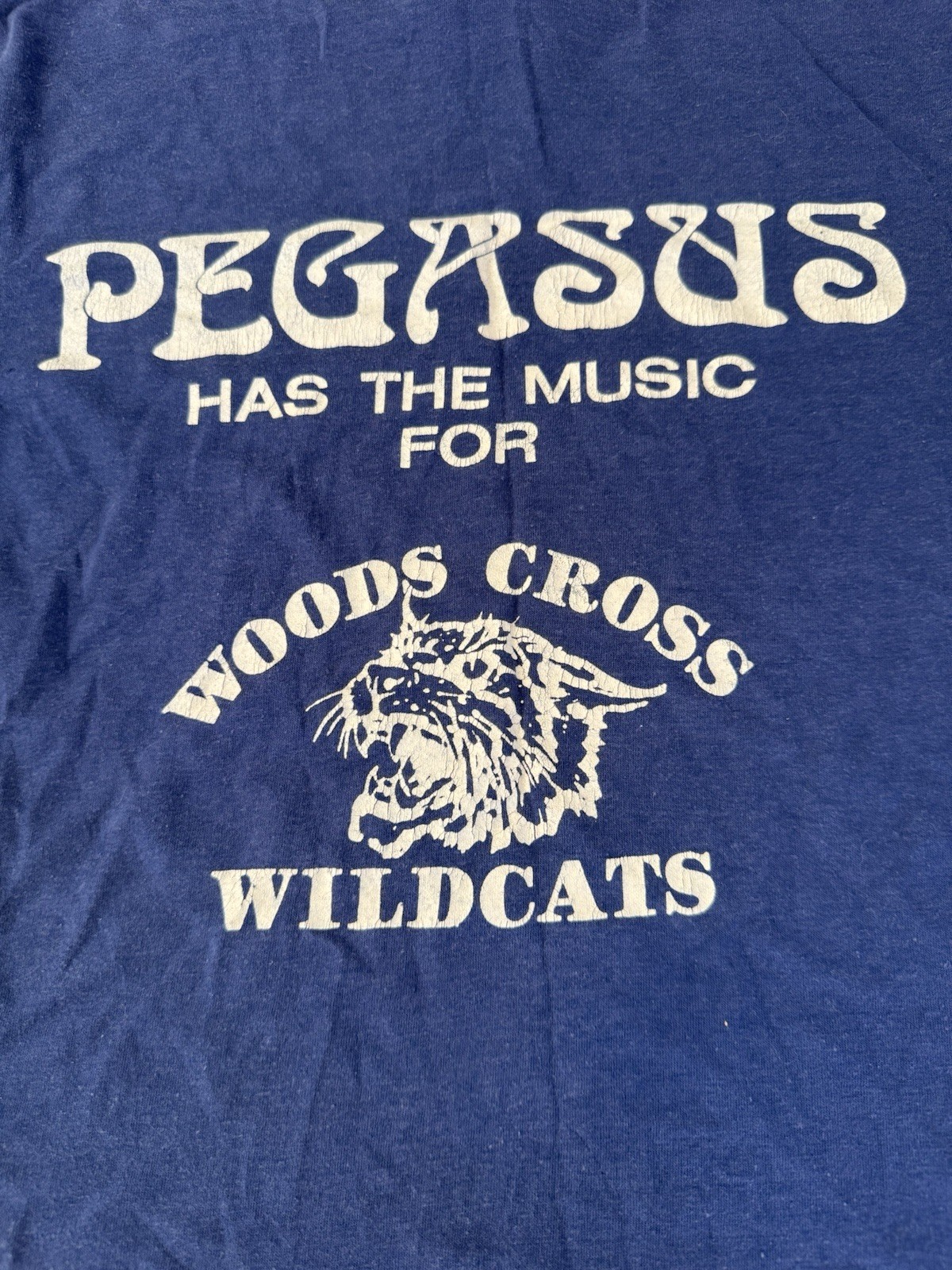VINTAGE Pegasus Albums And Tapes Blue T-Shirt Medium M Single Stitch Women’s