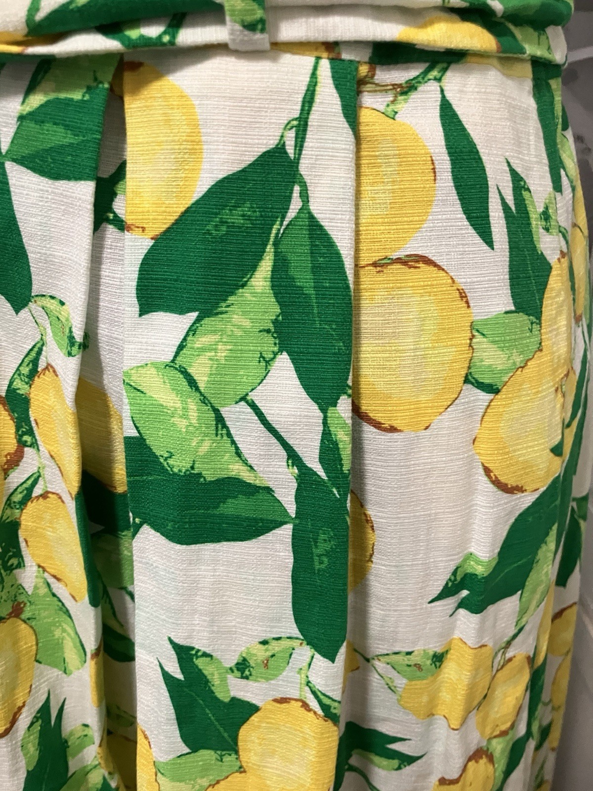 1901 Novelty Lemon&Leaves Belted Fit & Pleated Cottage Core Cruise Resort Sz 16