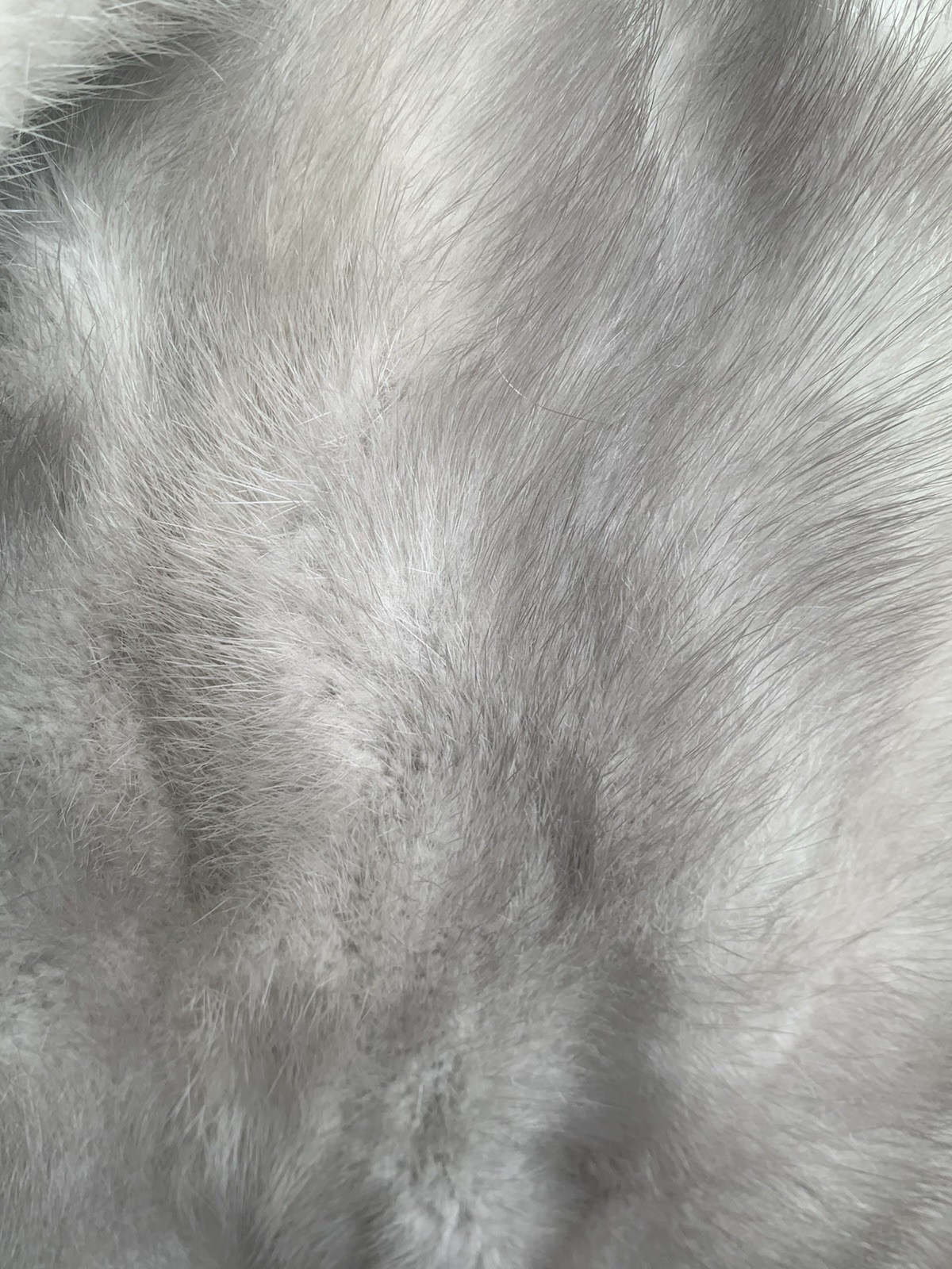 Vintage 1960’s Luxury Famous-Barr Gray Sapphire Fur Stole Shawl Wrap Cape