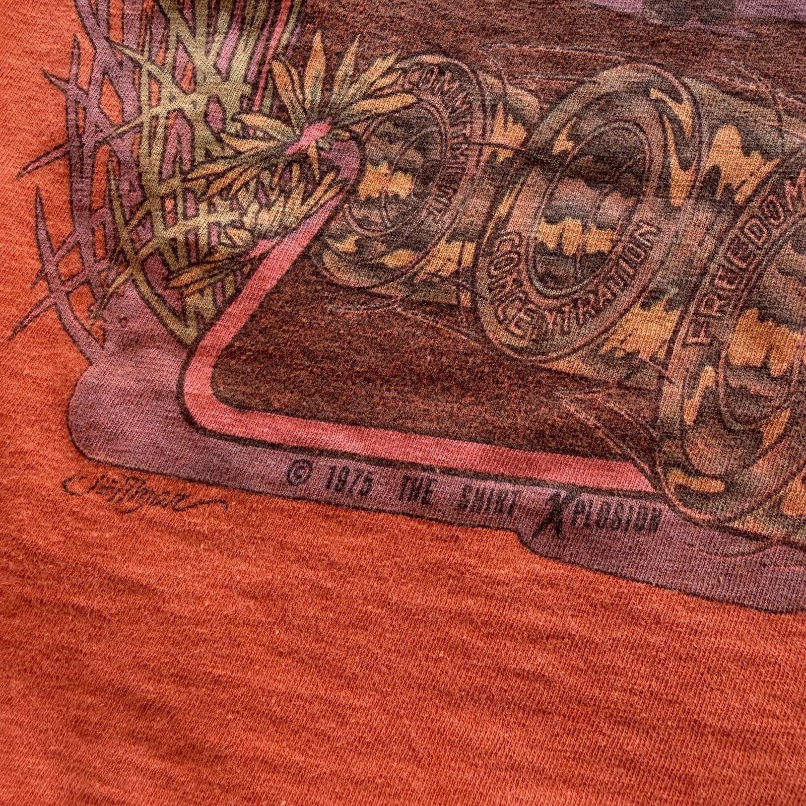 VTG 70s “Physical Graffiti” Orange Baby Skate Tee Size S Jay Adams