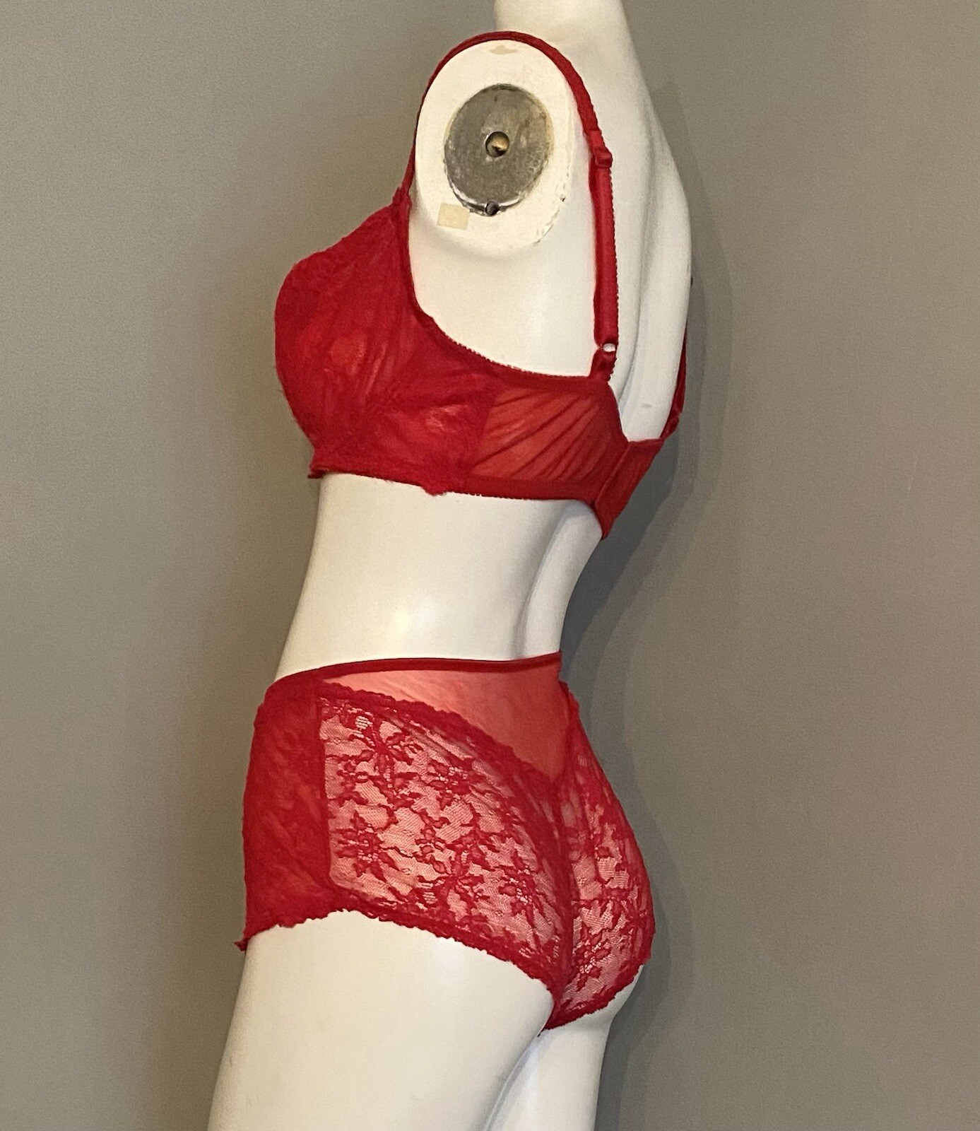 Vintage Red Lace Bra and Panty Hot Pants Shorts Lingerie Pin-Up Sexy 34DD Felina