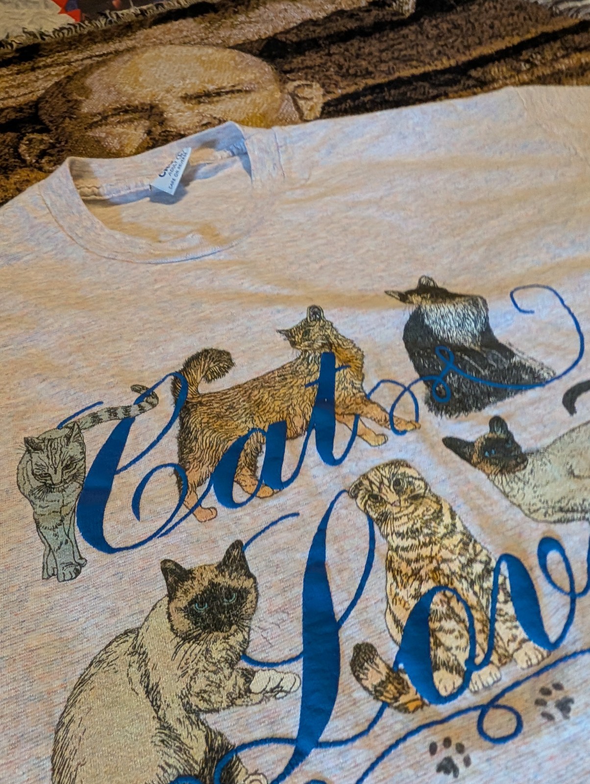 VTG Cat Lover Rainbow Heather Men L Single Stitch Tshirt L Made in USA Cal Cru