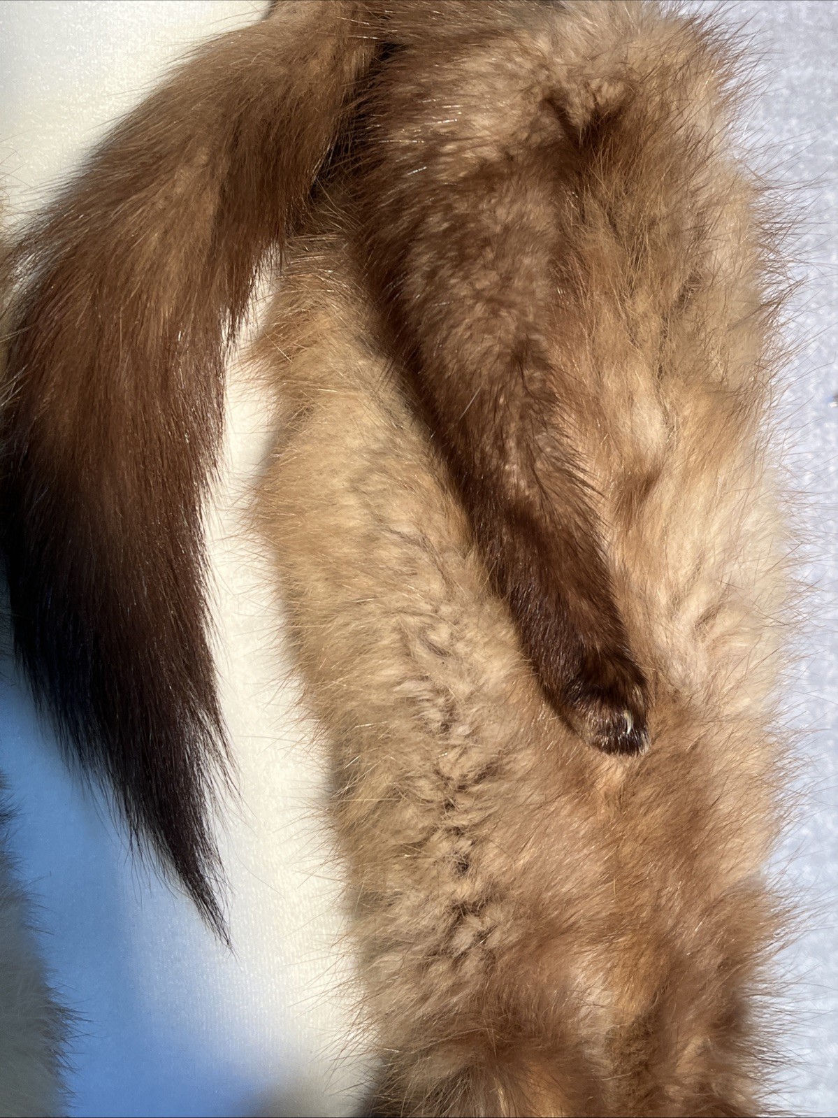 VTG Genuine Collectible MINK SABLE FUR Wrap 3 FULL BODY PELTS Stole With CLIP