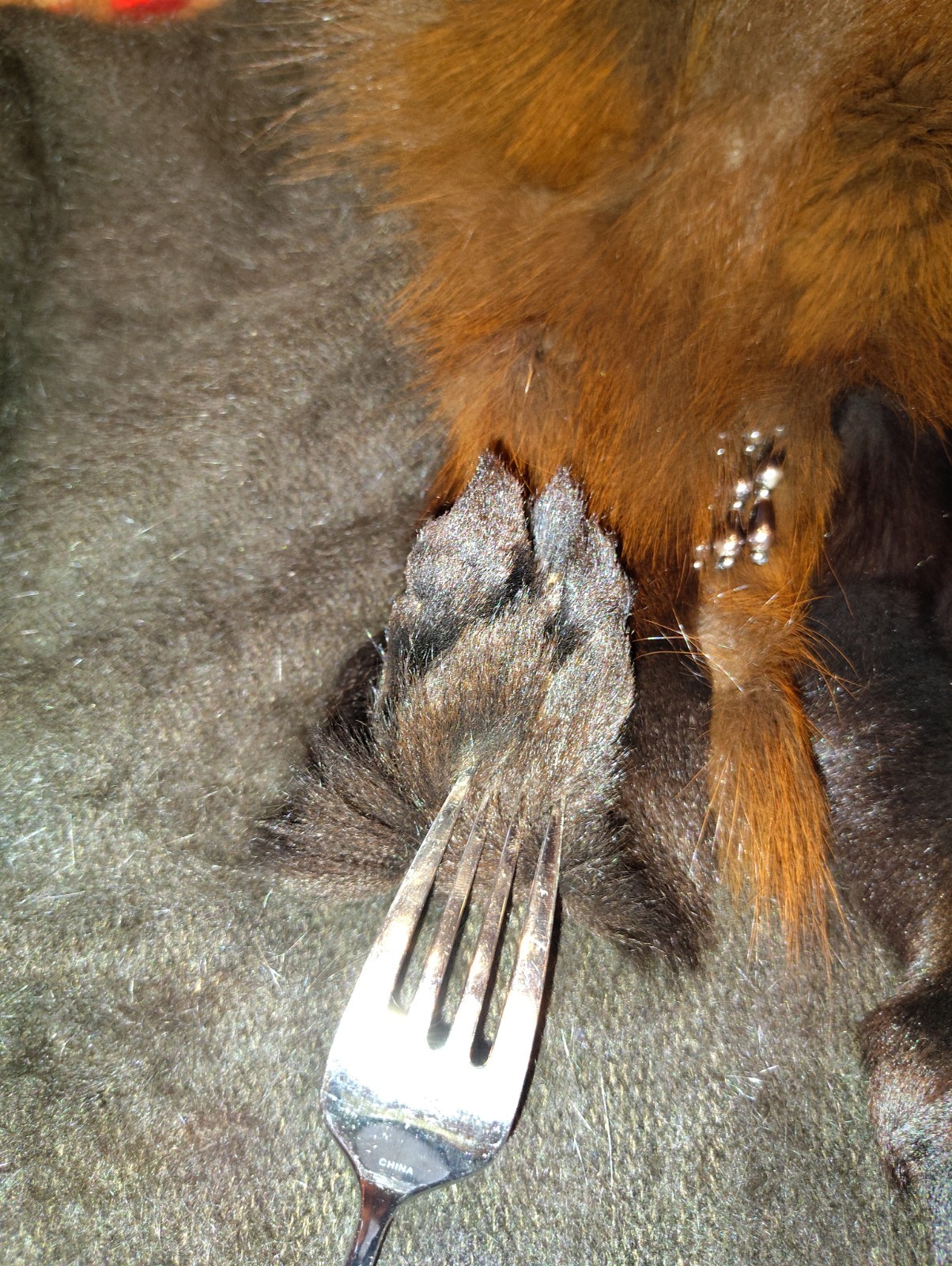 Mink vintage coat with head and feet Miracle Real Animal Excellent Condition L