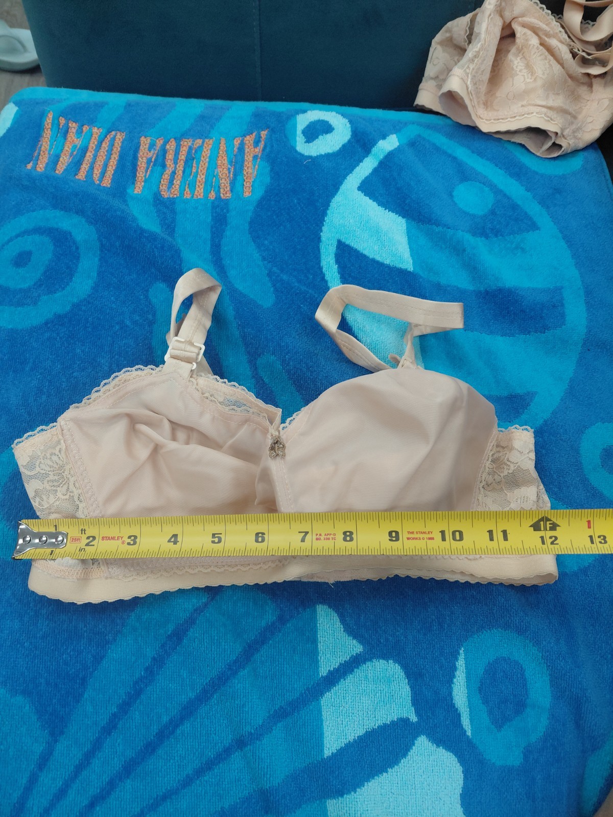 Vintage Lady Cameo Lingerie Bra Size 34E