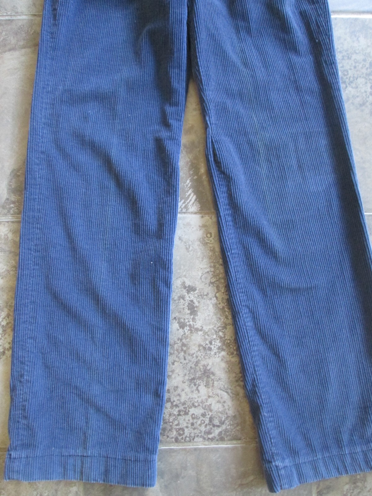 Vintage Robin Ross Corduroy Pants 22×31 Mom High Waist Blue Pleated Tapered