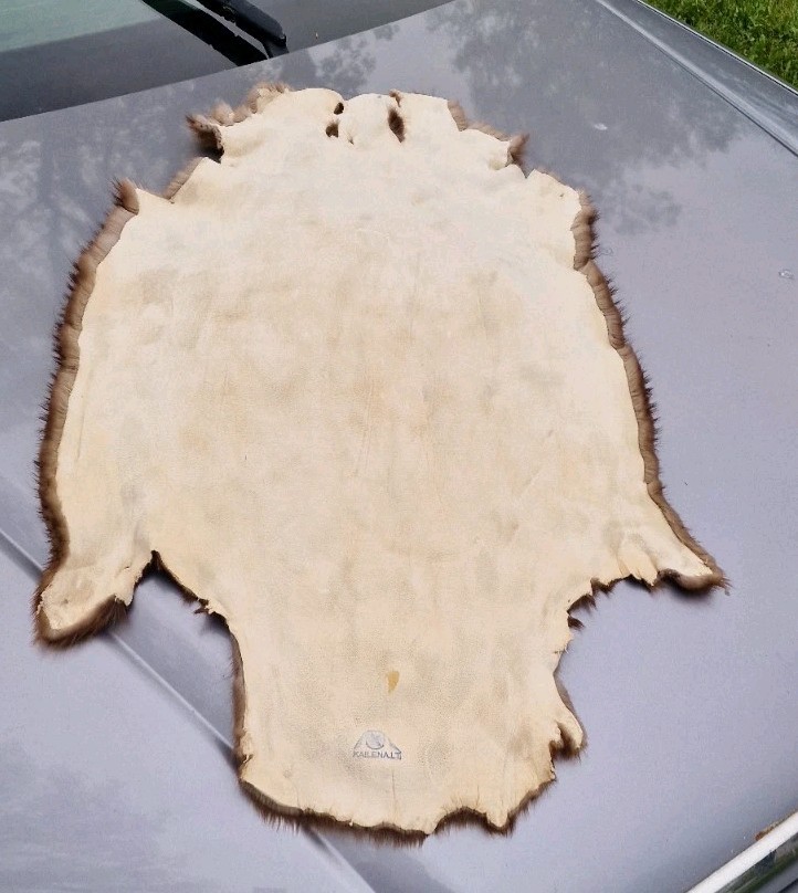Europen Beaver fur/Profesional Tanned/Natural color/Very Soft, Warm and Flexible