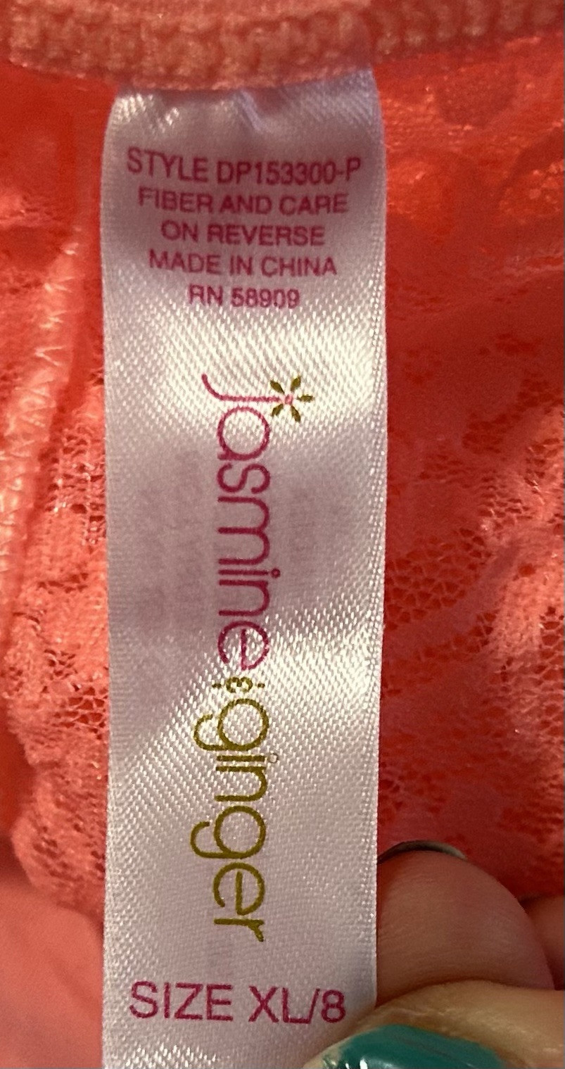 Jasmine & Ginger Peach Silky Front Lace Sheer Back Cheeky Nylon Panties XL/8 NWT