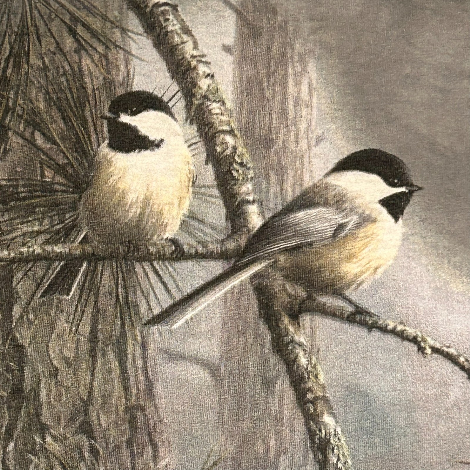 The Mountain Birds Vintage TShirt Chickadees J. Hautman 1999 Size Large Womens