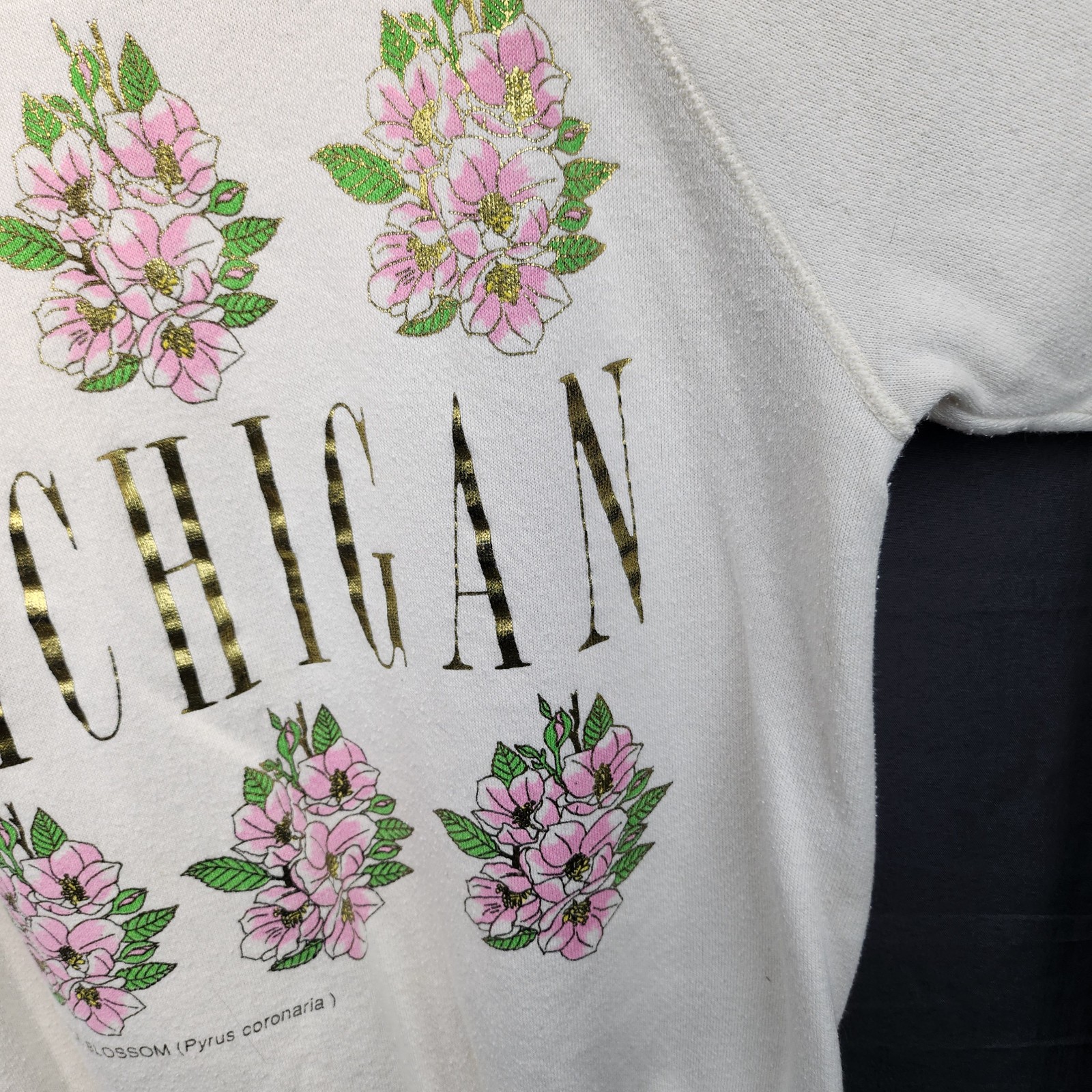 VTG Michigan Apple Blossom Flower Floral State Travel Tultex Crewneck Sweatshirt