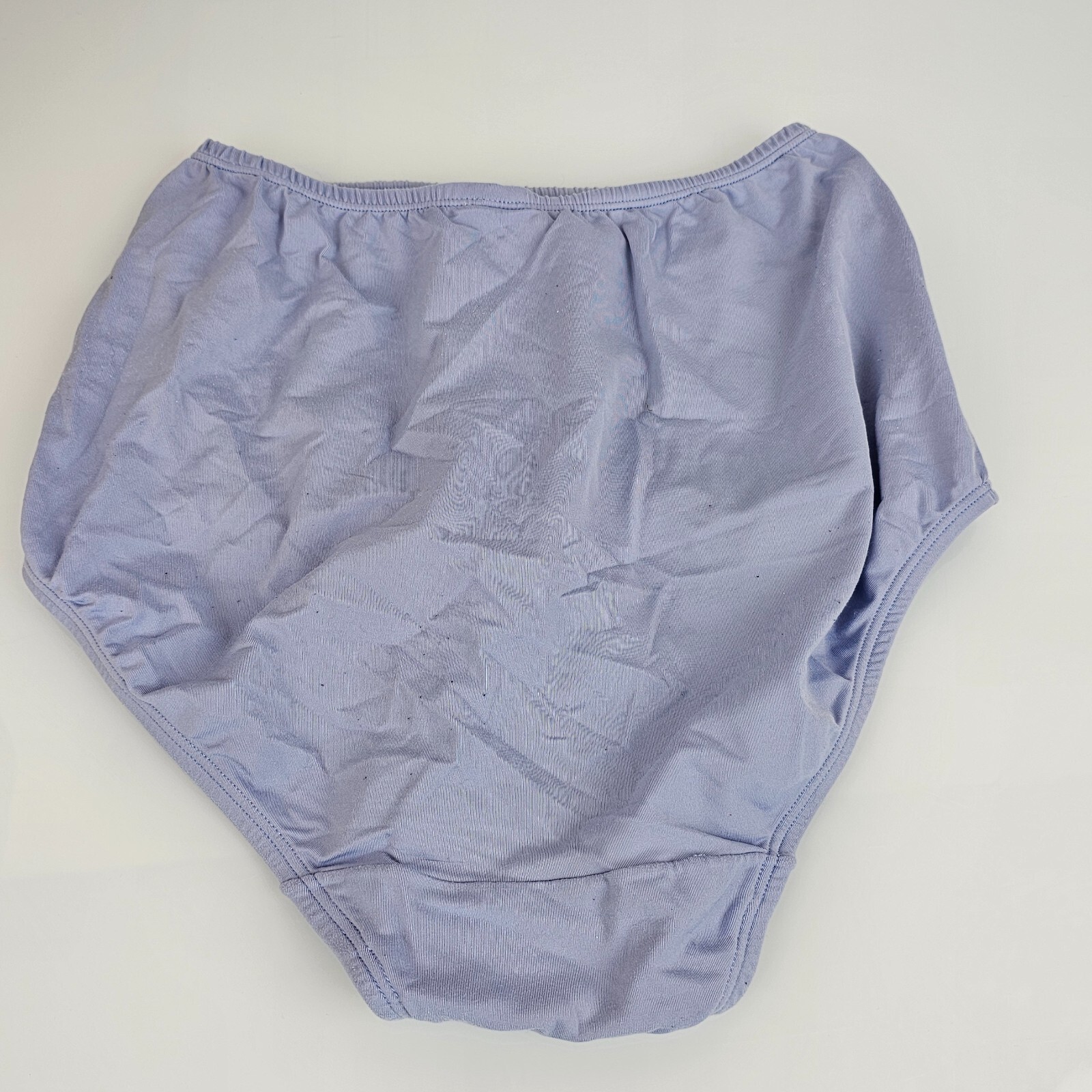 VTG Warners Without a Stitch Panties Briefs 7 L Large French Blue Nylon