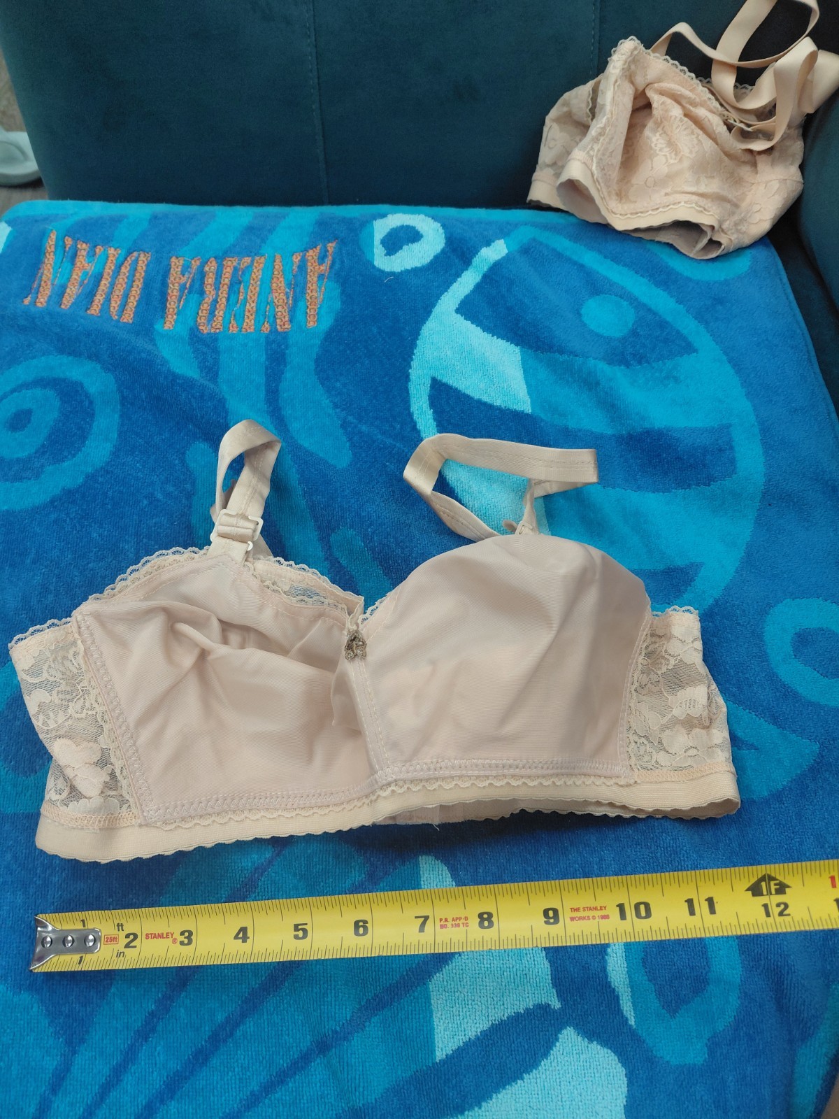 Vintage Lady Cameo Lingerie Bra Size 34E