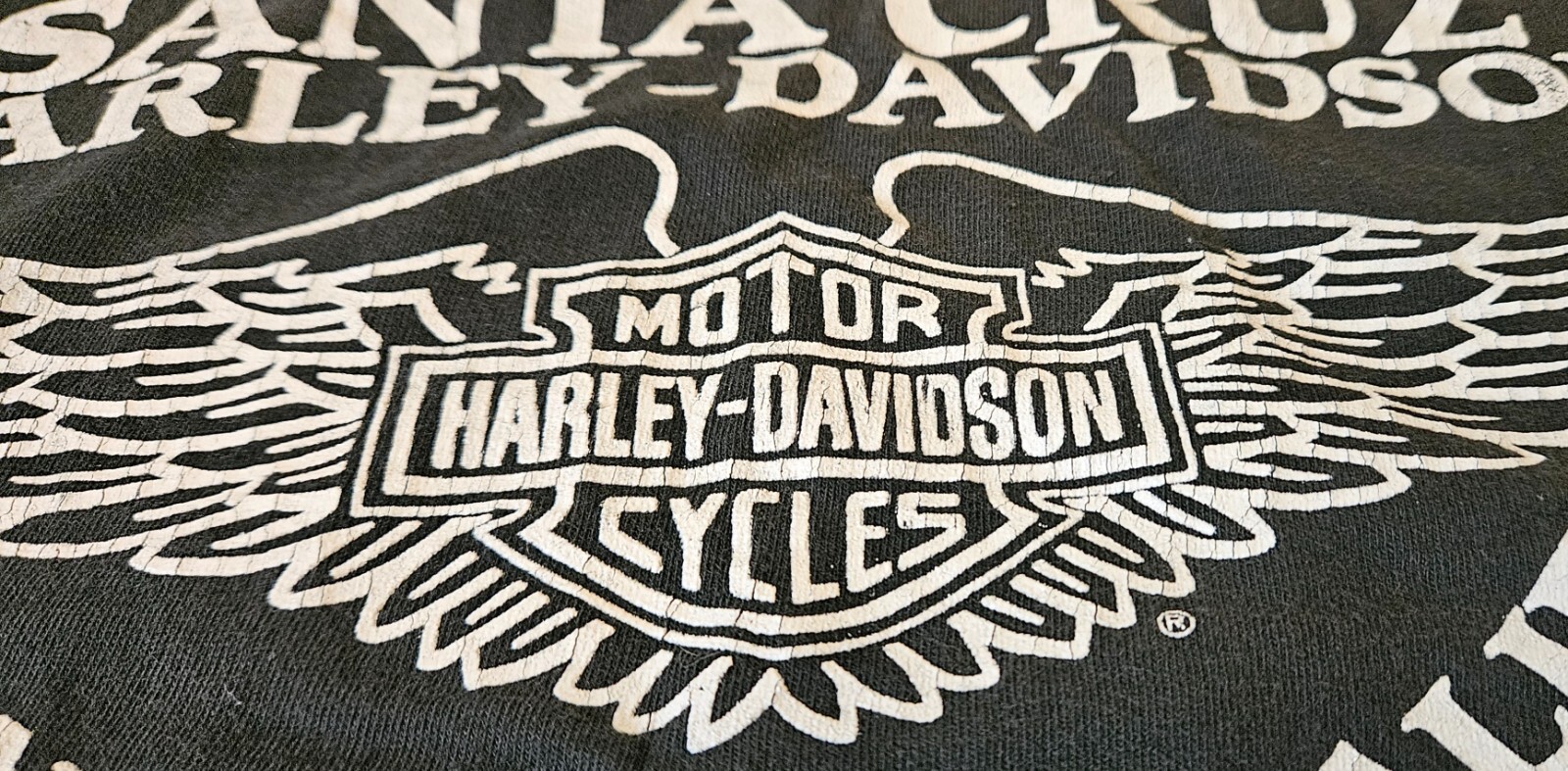 Vintage 3D Emblem 1988 Harley Davidson Womens Eagle Rose Crop Top Santa Cruz M