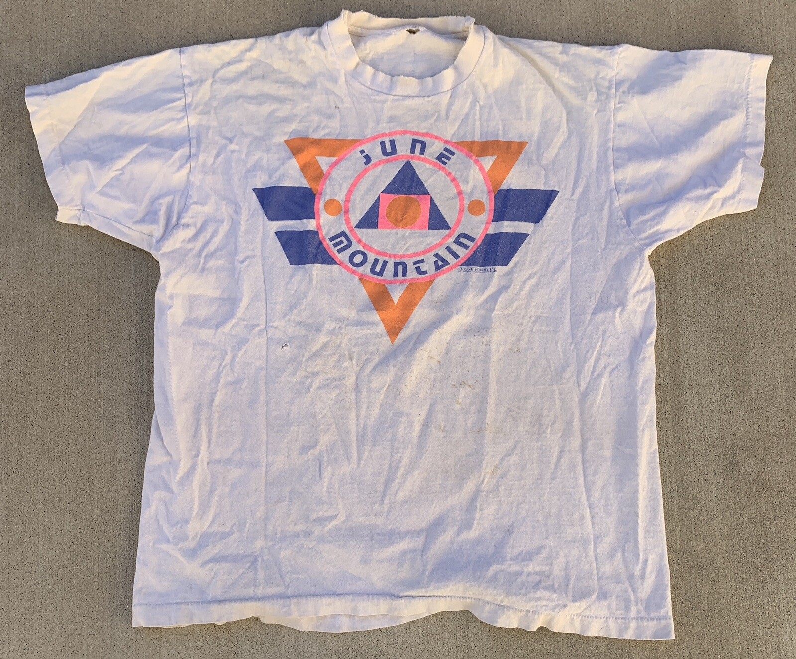 Vintage June Mountain T Shirt 80s Geomeric Neon Graphics Distressed Worn Holes