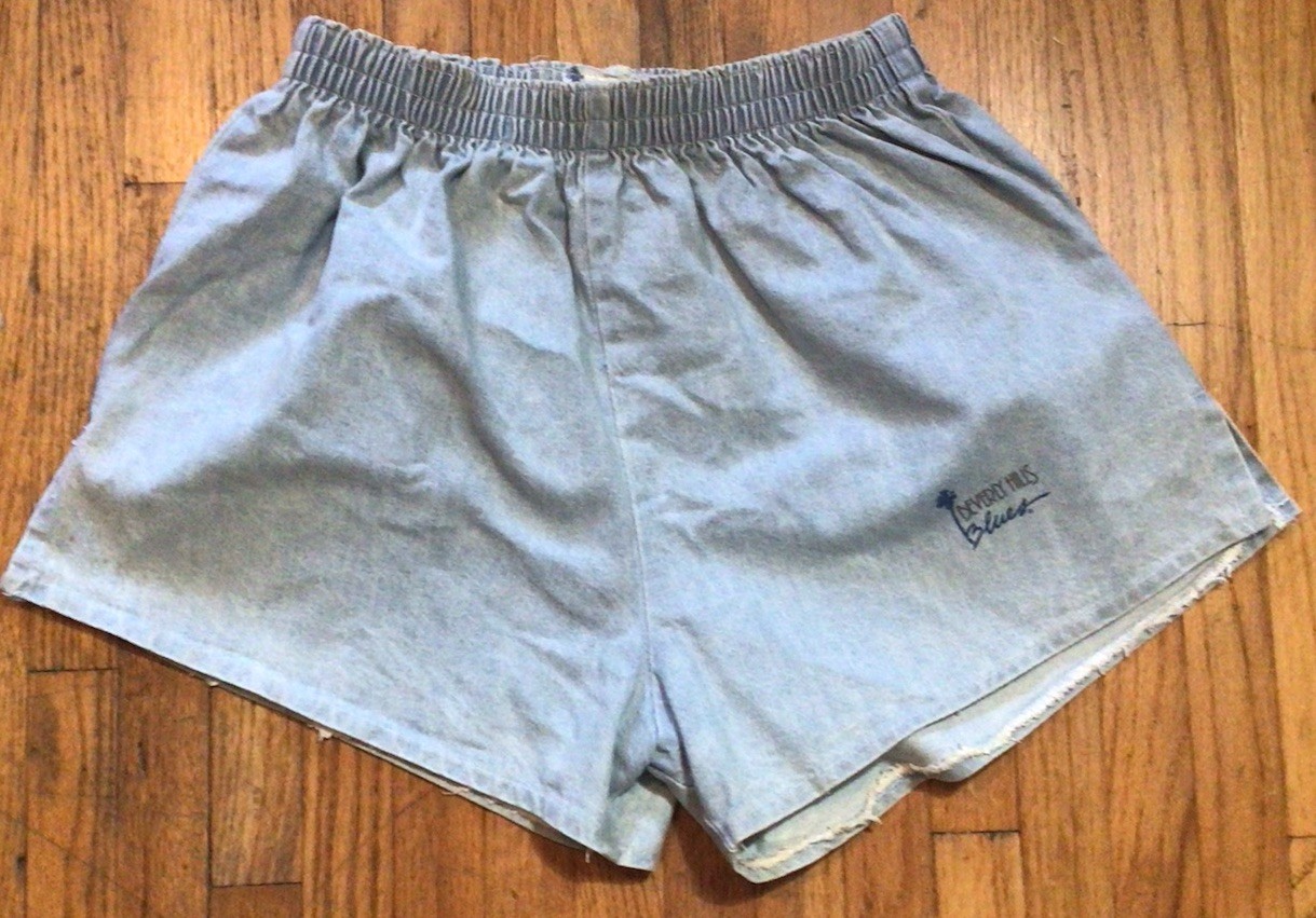 Vintage 80s Beverly Hills Blues Women’s Denim Jean Shorts Y2K