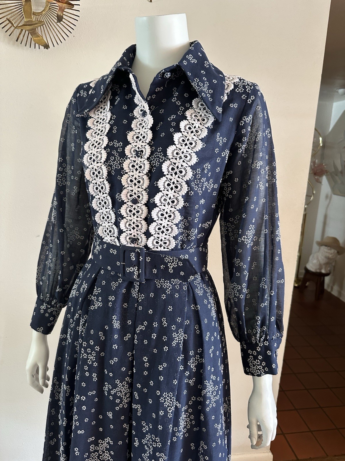 1970s Avalon Classics Dagger Collar Maxi Dress Boho Prairie Lace Daisy Print VTG