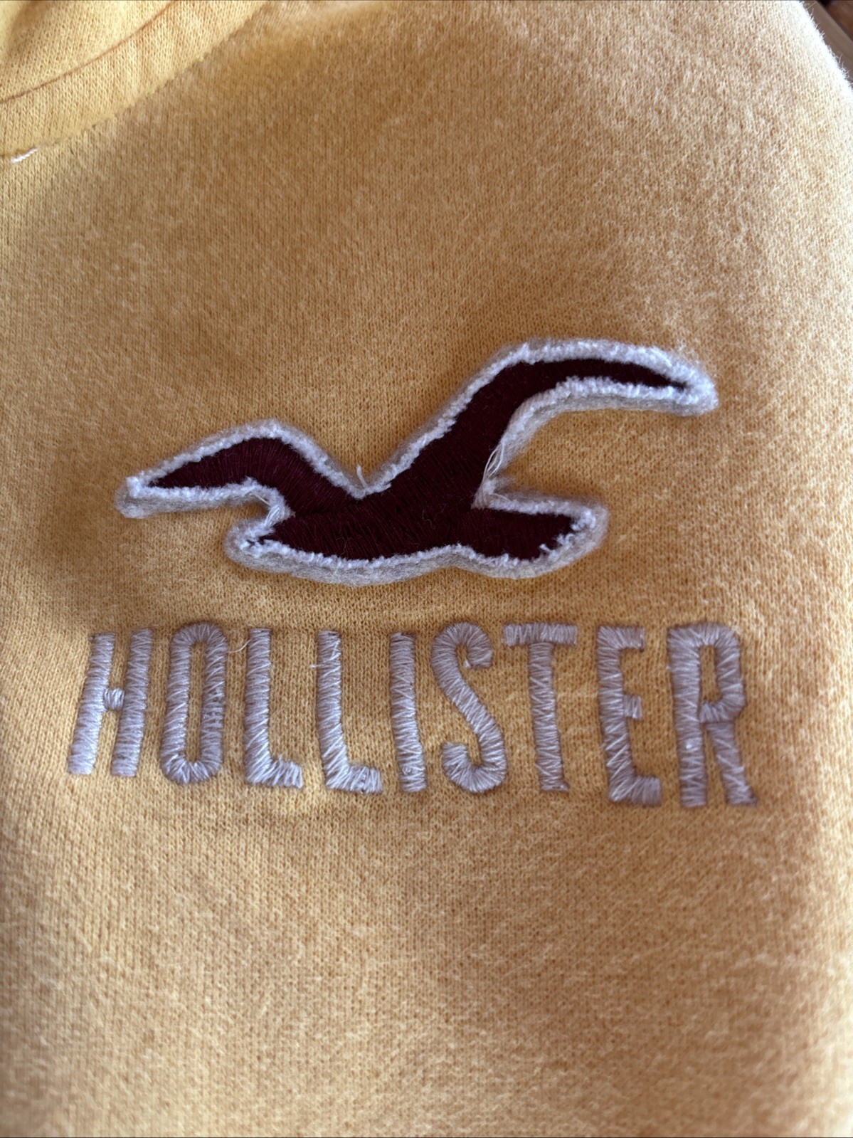 Hollister Hoodie Sweatshirt Men’s Large – Vintage Style