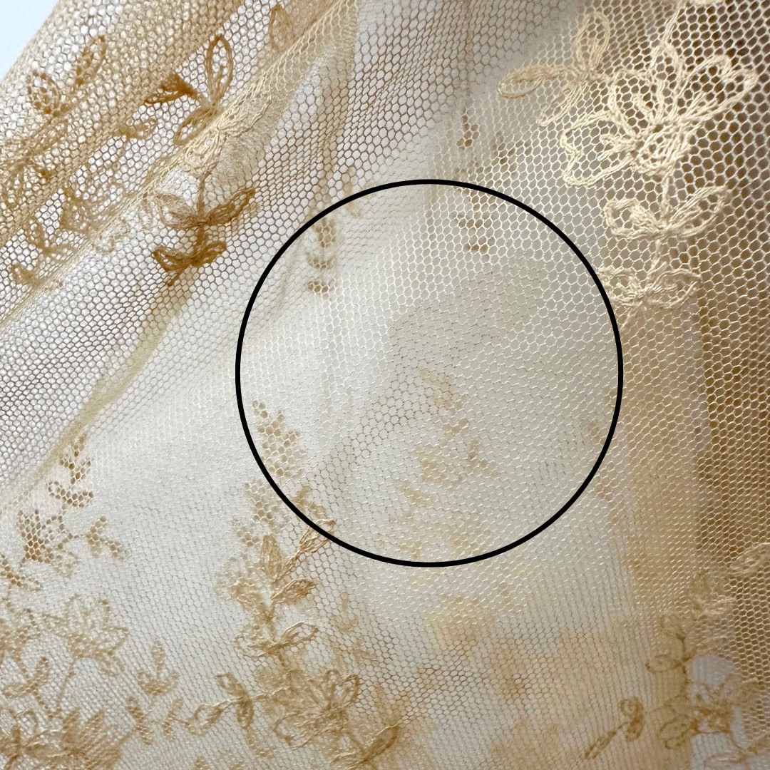 Antique 1900s Edwardian Ecru Net Lace Floral Short Sleeve Sheer Tea Dress