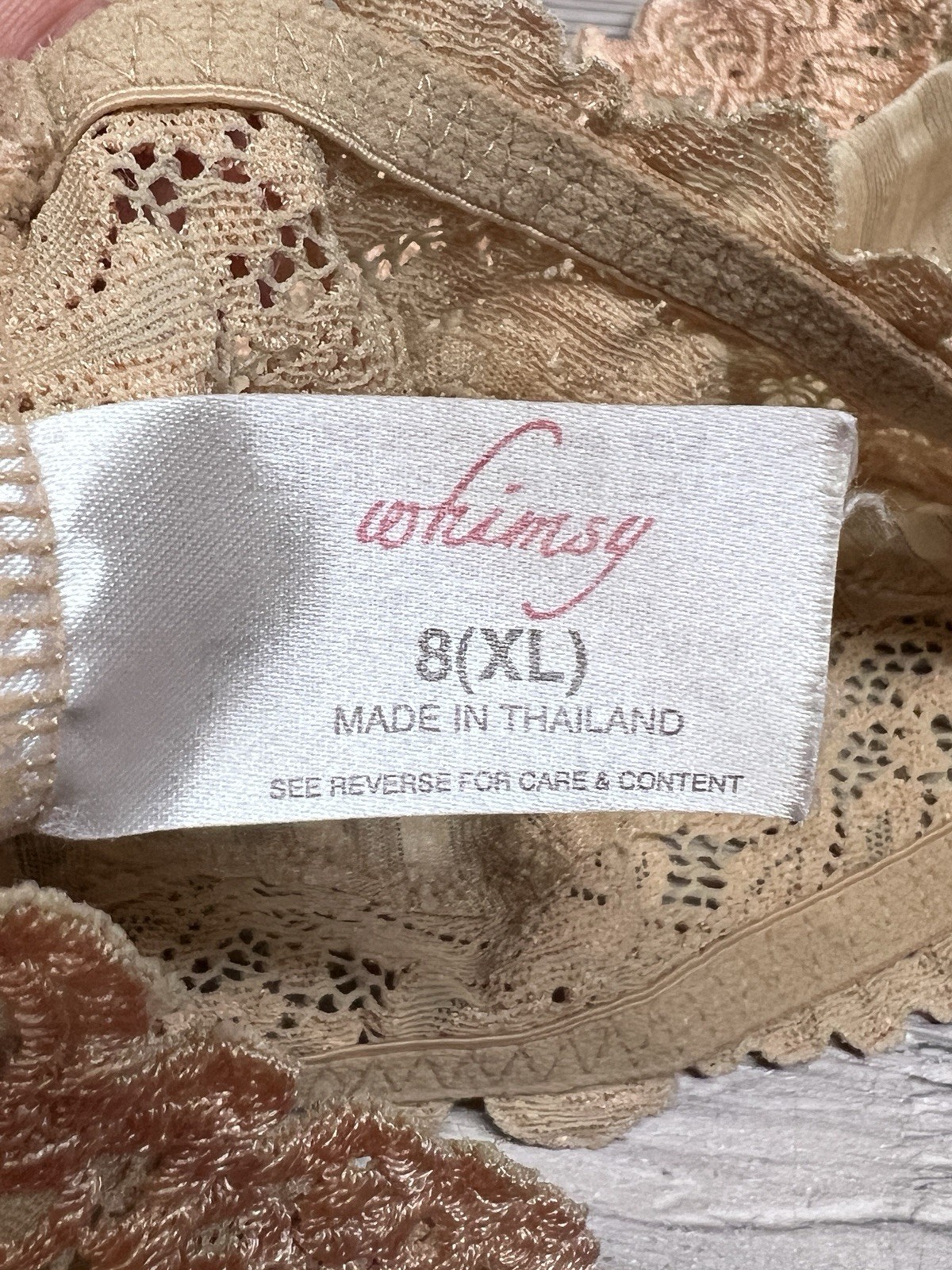 Vintage Whimsy Sheer Bikini Hip Hugger Panties 8 XL Beige Lingerie Lace Trim #1