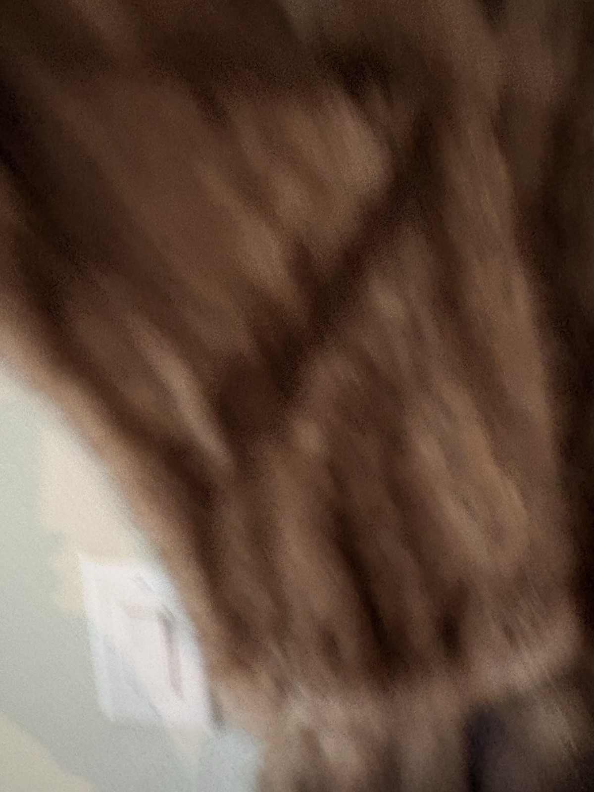 VTG STONE MARTEN SABLE MINK Fur STOLE with TAILS ‘Removable’ Only Owner S/M/L