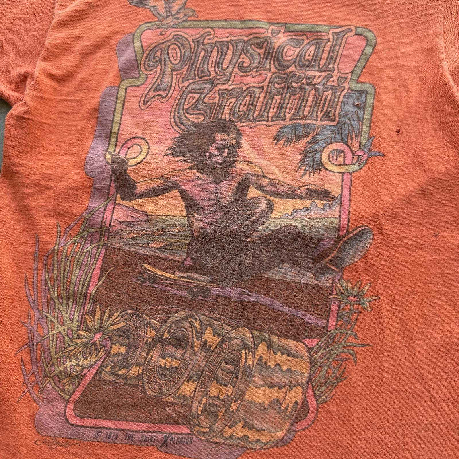 VTG 70s “Physical Graffiti” Orange Baby Skate Tee Size S Jay Adams