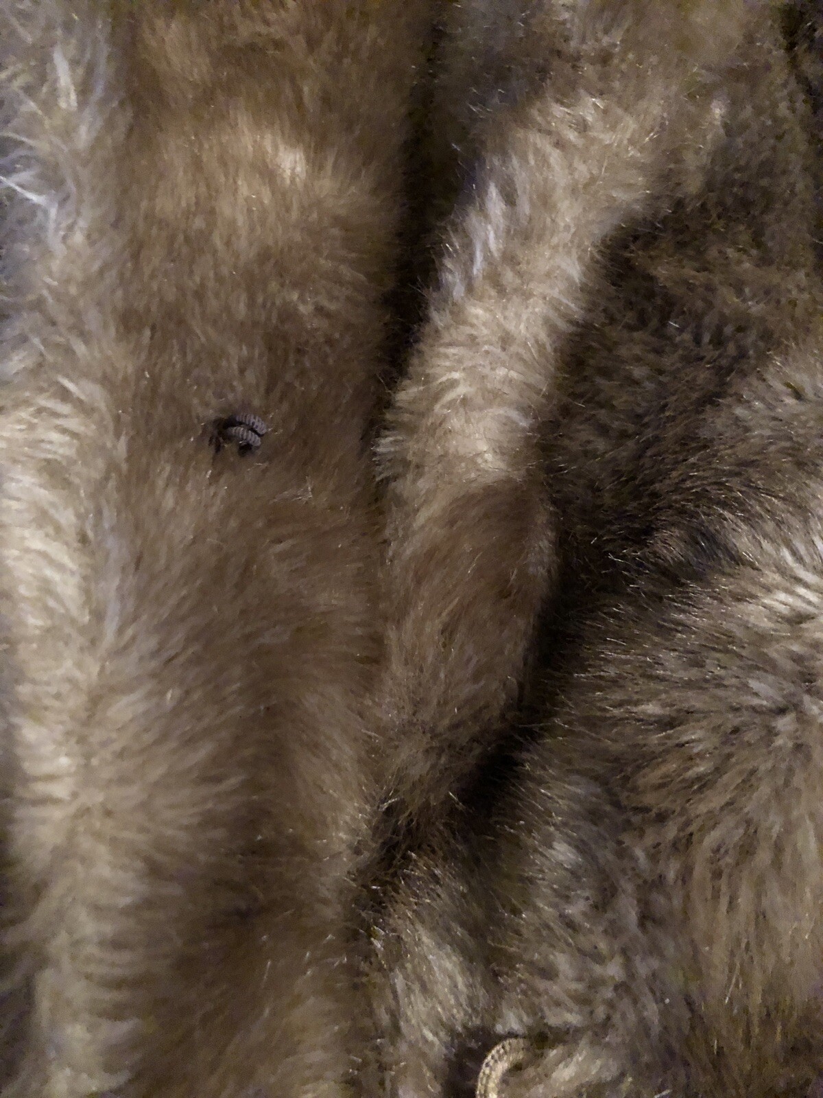 Vintage Faux Fur Ladies Coat Heavyweight Made In USA *Missing 2 Loops For Hooks