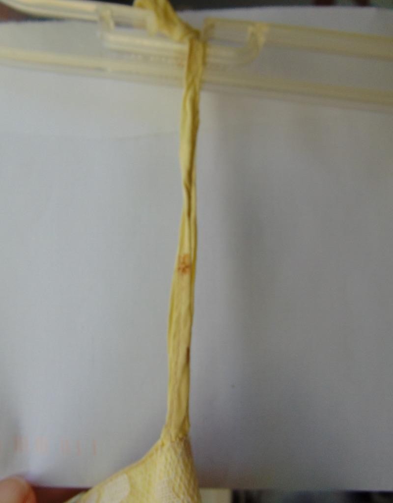 VTG 50s White & Yellow Tulle Chantilly Lace Strapless Prom Dress 24W