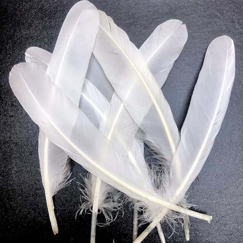 50pcs Feathers 8~10 in,Beautiful Bulk Long Feather for Crafts（21 White