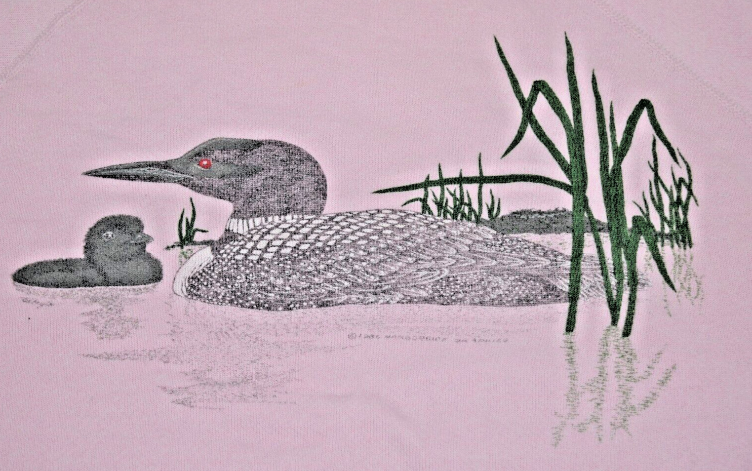 Vintage Animal Print Sweatshirt Size S/M 80s Hanes Pink Canvas Back Ducks Grass