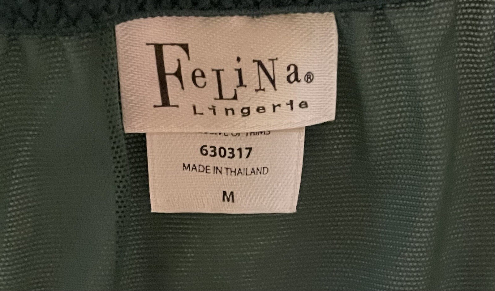 Felina Lingerie 90’s Green Lace Mesh Sheer Bikini Panties Womens M