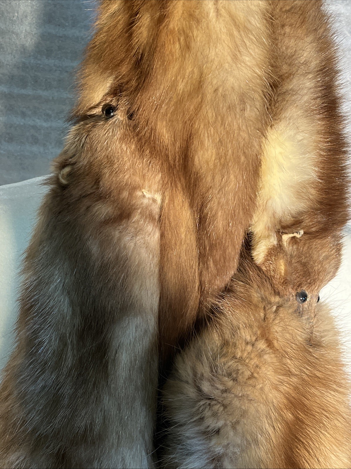 VTG Genuine Collectible MINK SABLE FUR Wrap 3 FULL BODY PELTS Stole With CLIP