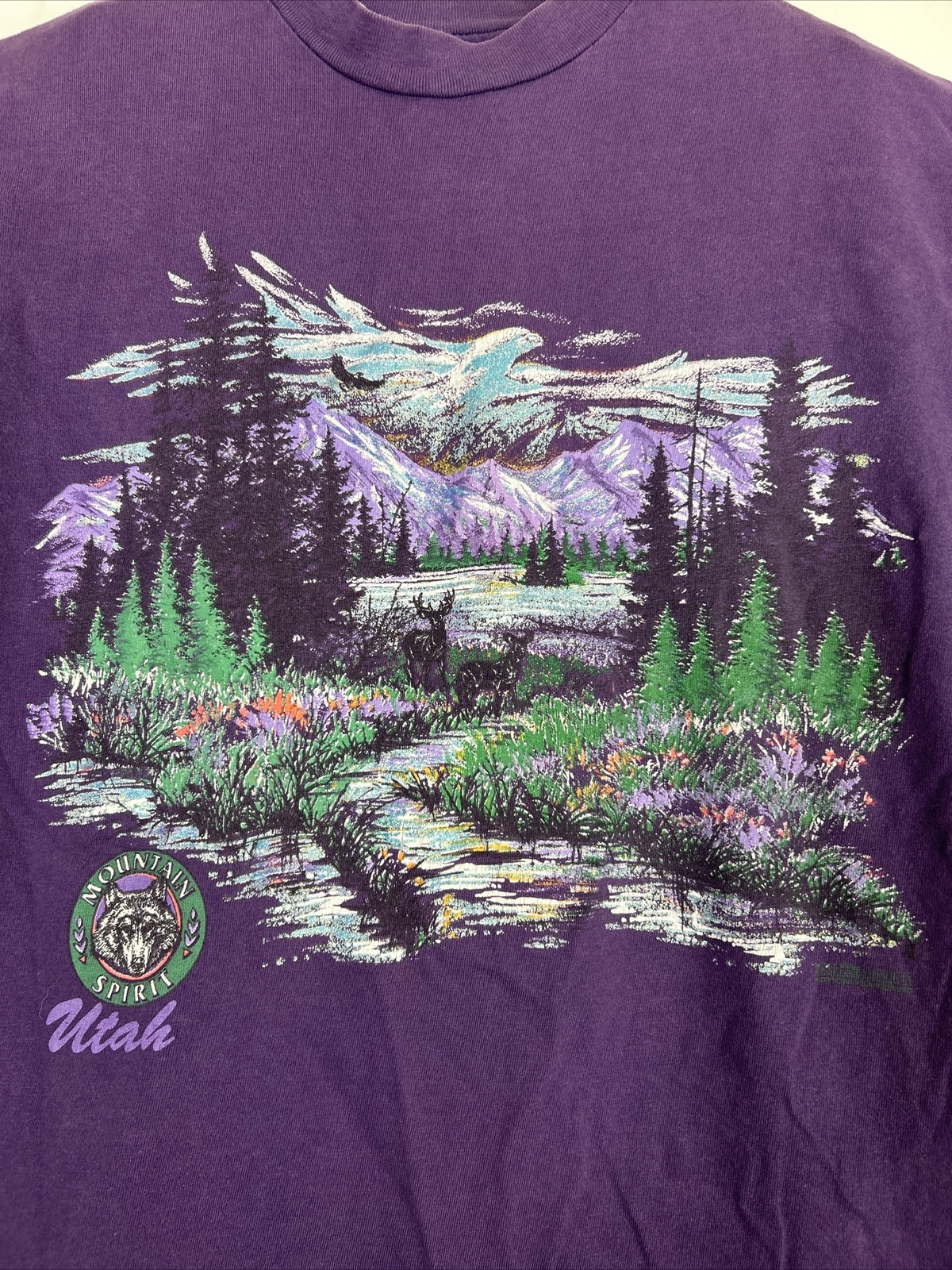 Hanes Vintage Women’s Large Mountain Spirit Utah Landscape 1993 Tee T-Shirt