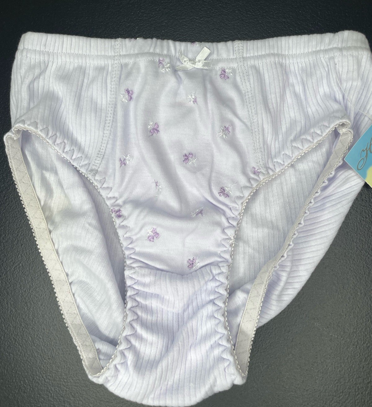VTG Heavenly Secrets Panties Hi Cut High Leg Sz 8 NWT