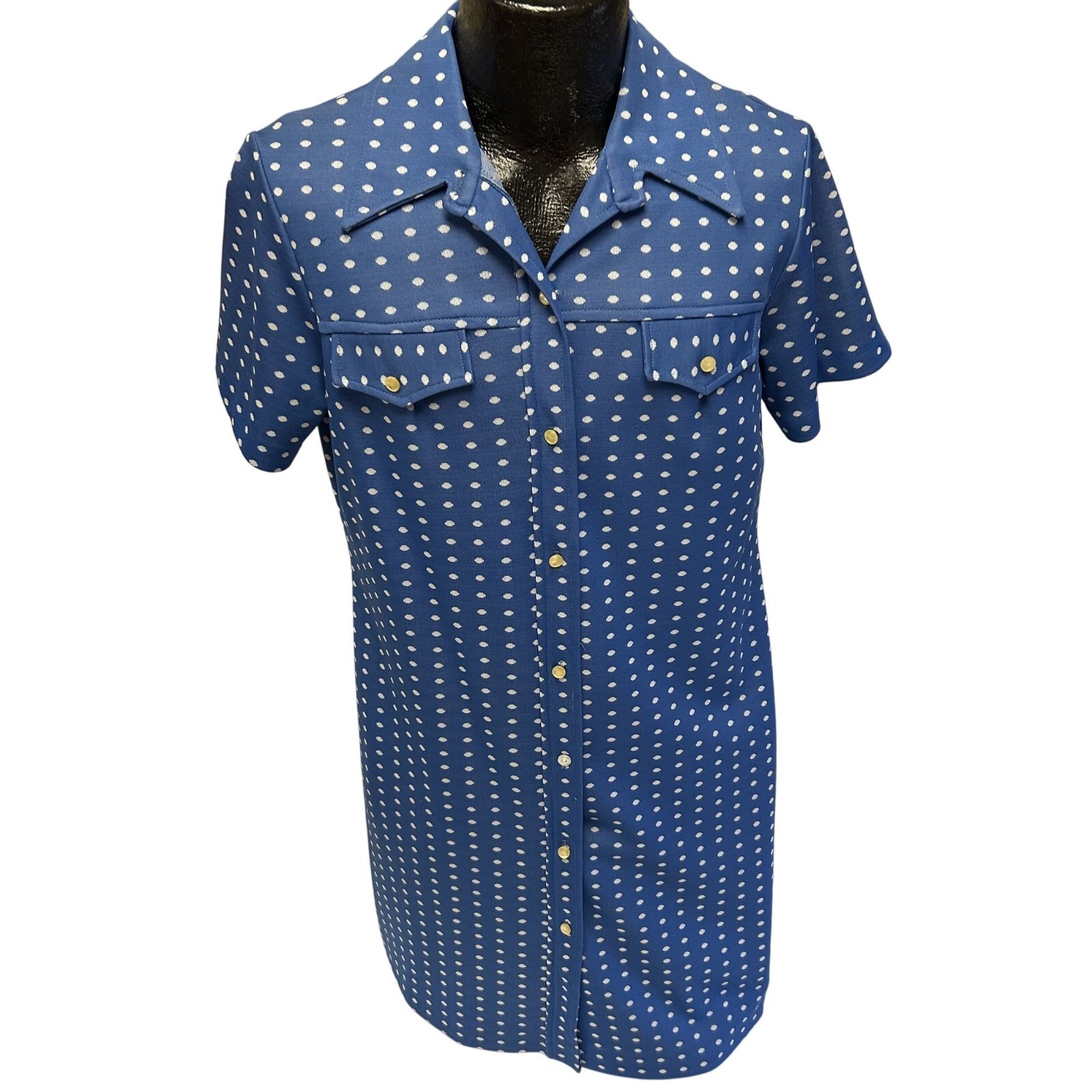Vtg 60 70’s Women MOD Blue POLKA DOT Button Down Collared House Dress 18.5 42