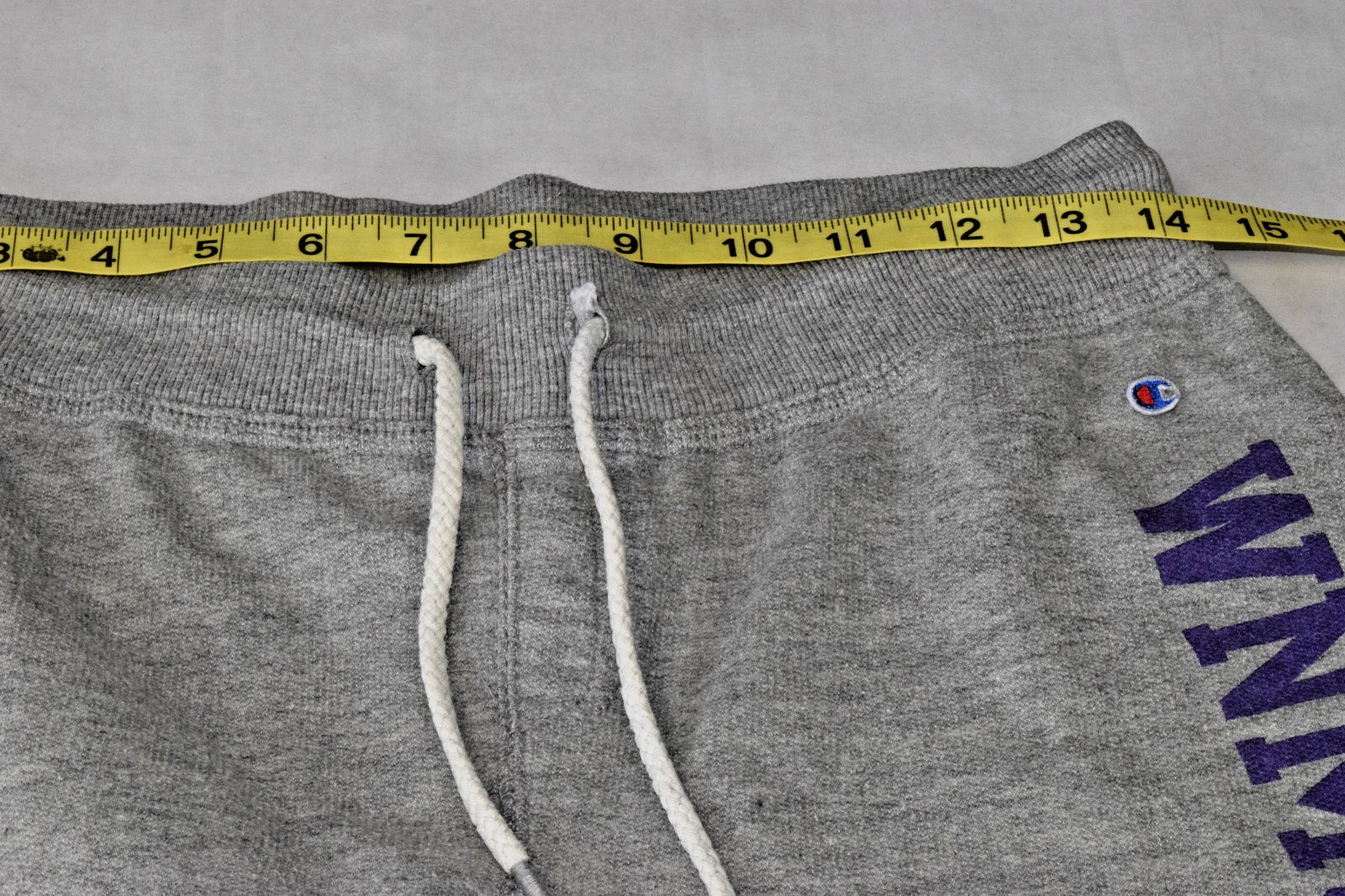 Vintage Sweatpants Champion Size S Y2K Gray WNMU Print Left leg Mustangs Patch