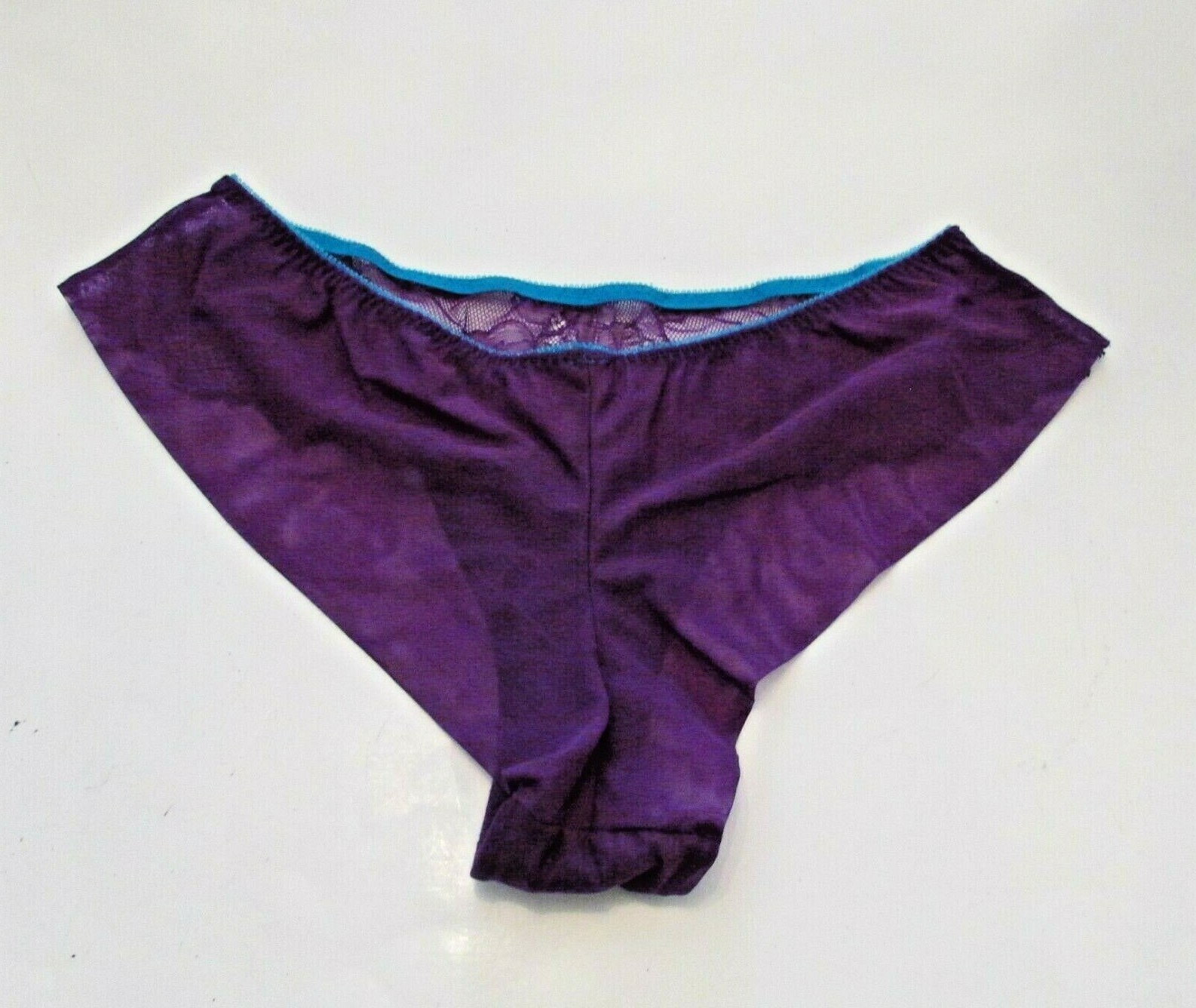 Victoria’s Secret Purple Mesh back Chantilly Lace Front Hiphugger Bikini Panty M