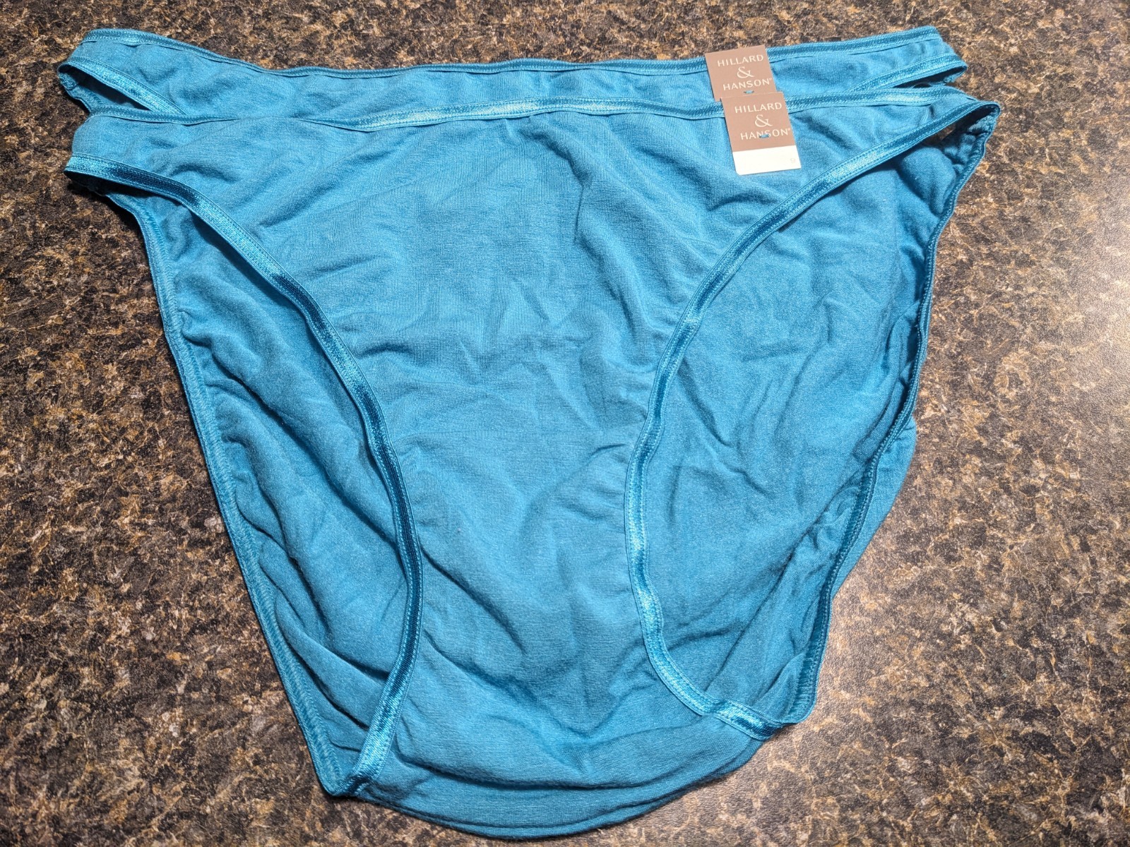 2X Vintage Hillard & Hanson Mervyn’s Teal Blue Bikini Panties Modal soft Size 9