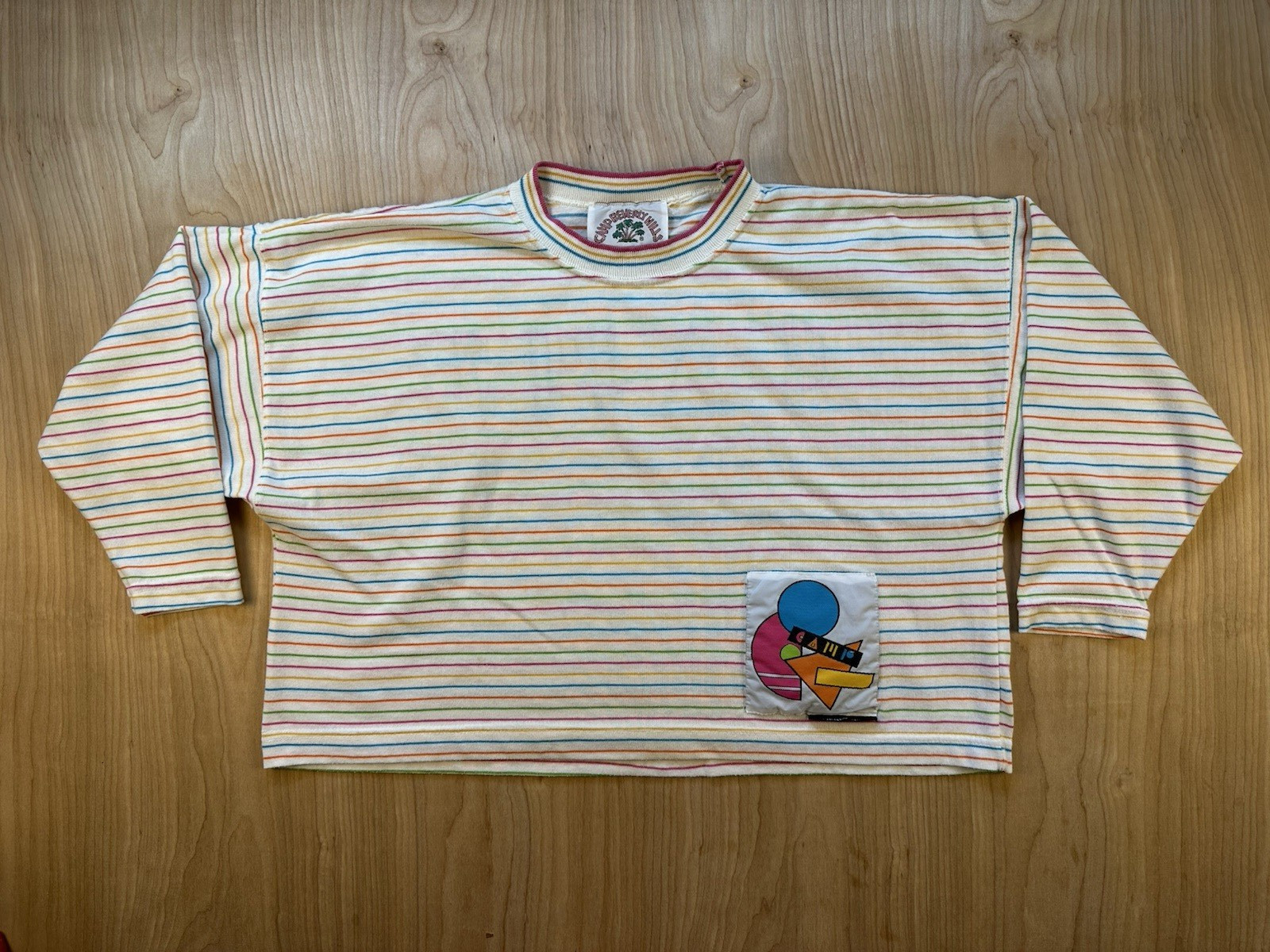 vintage 80’s CAMP BEVERLY HILLS crop top applique NEW WAVE striped VALLEY GIRL