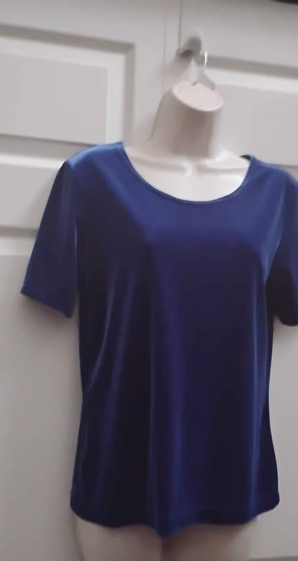 GANTOS Women’s Medium Blue Velvet Top Short Sleeves Round Neck Vintage New