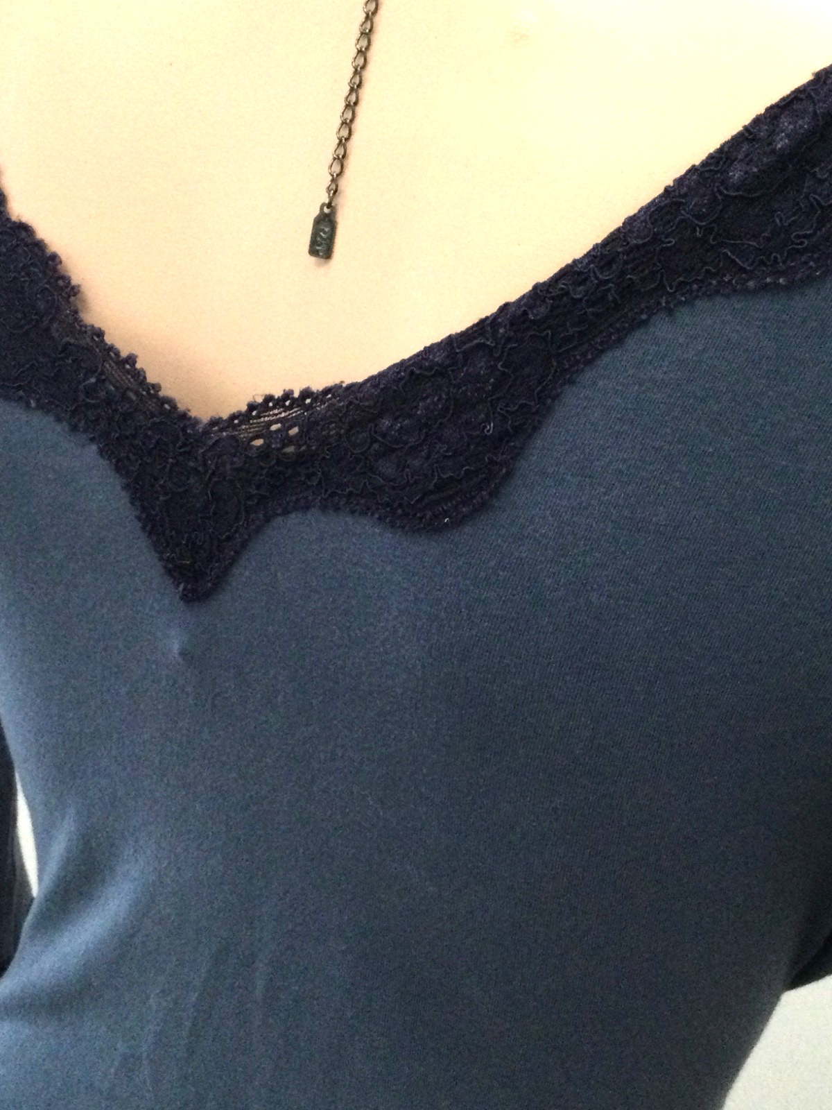 NWT Anthropologie Ann Ferriday Dusty Blue Lace Trim Romantic Top M Bella Swan