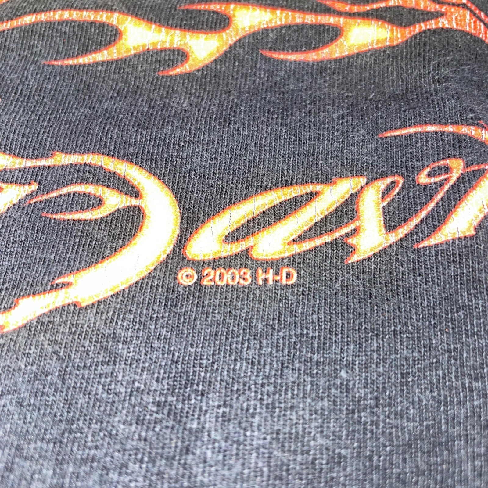 Vintage 2003 Harley Davidson Glendale CA Tank Top Black Large Made in USA Flames