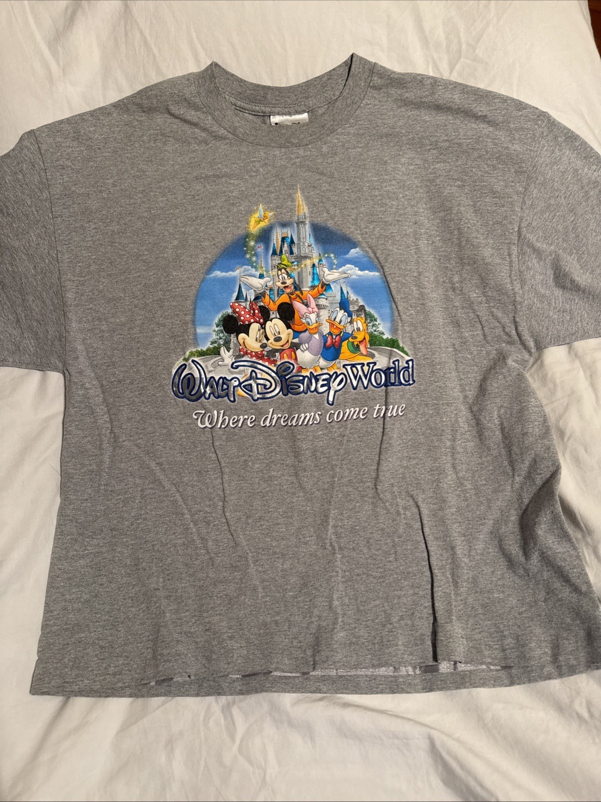 Walt Disney World Where Dreams Come True Gray T Shirt Cast Characters XL 22×26