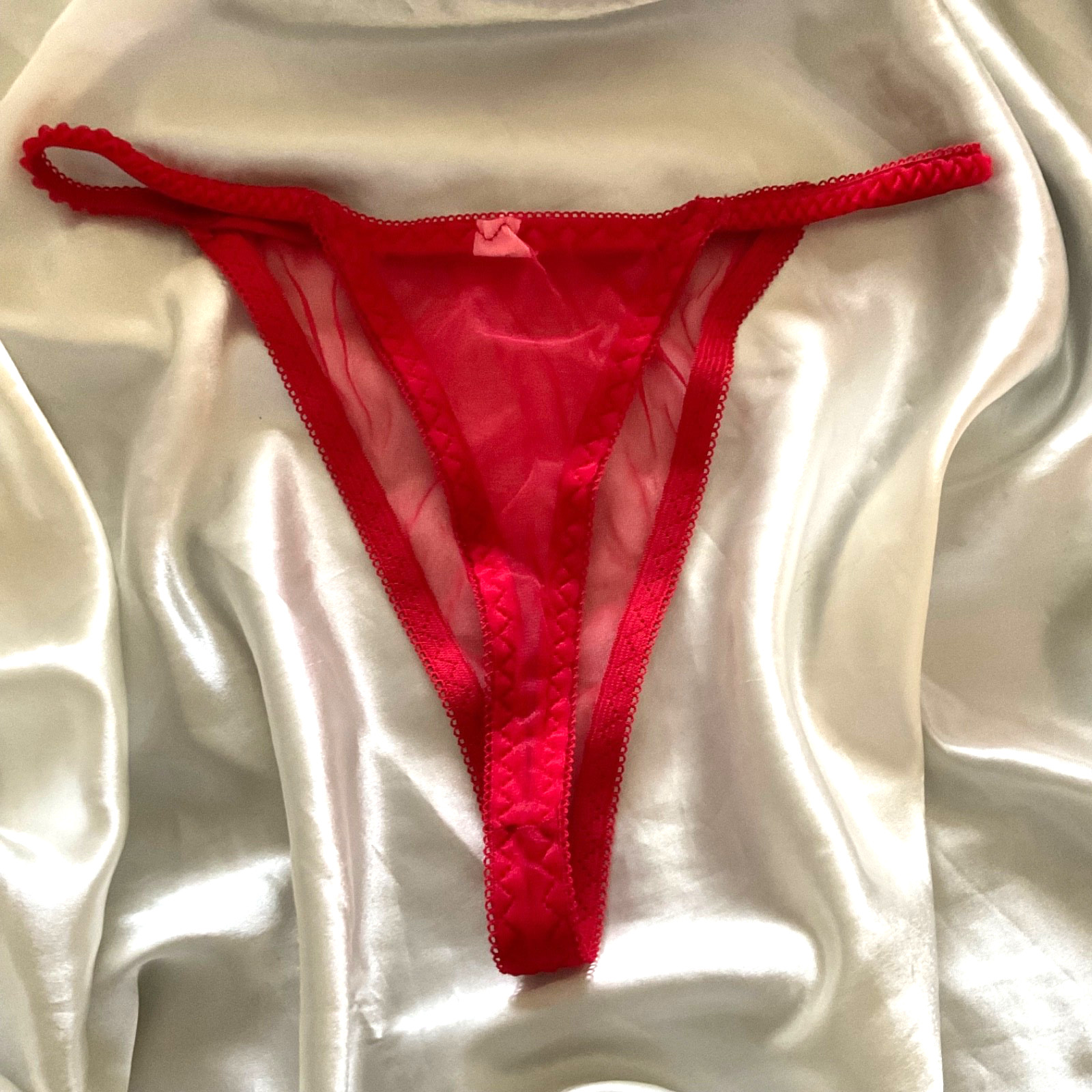 Vtg SHEER Chiffon Nylon String Bikini panties Size Large