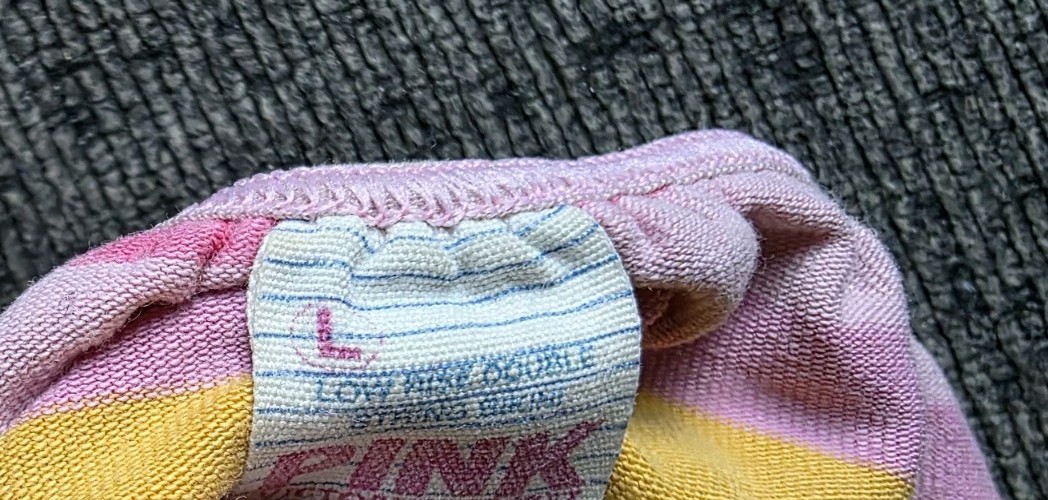 Y2K Victorias Secret PINK Low Rise Stripe Double String Bikini Panty LARGE